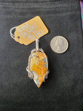 Eagle Eye Jasper Pendant