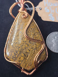 Hawk Slice Pendant