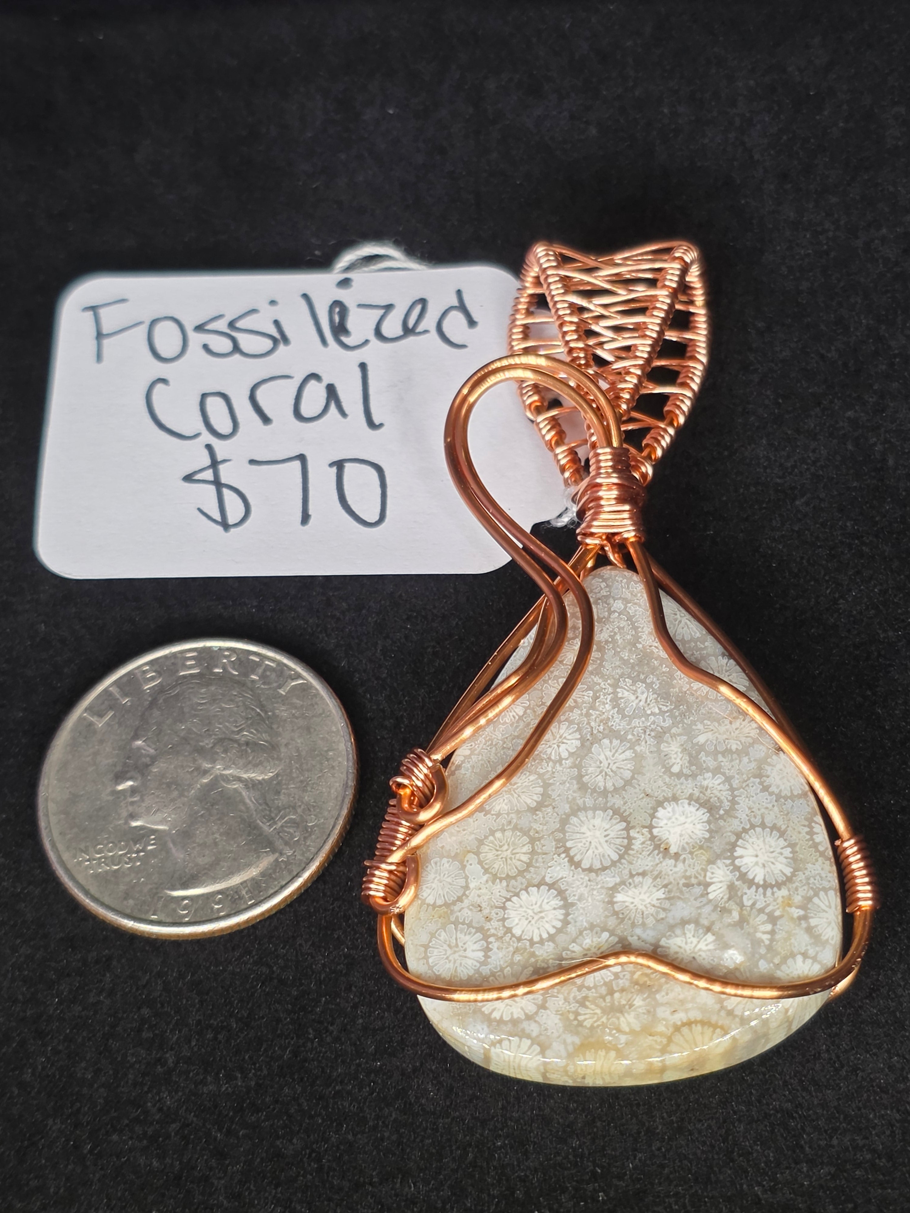 Fossilized Coral Wide Teardrop Pendant