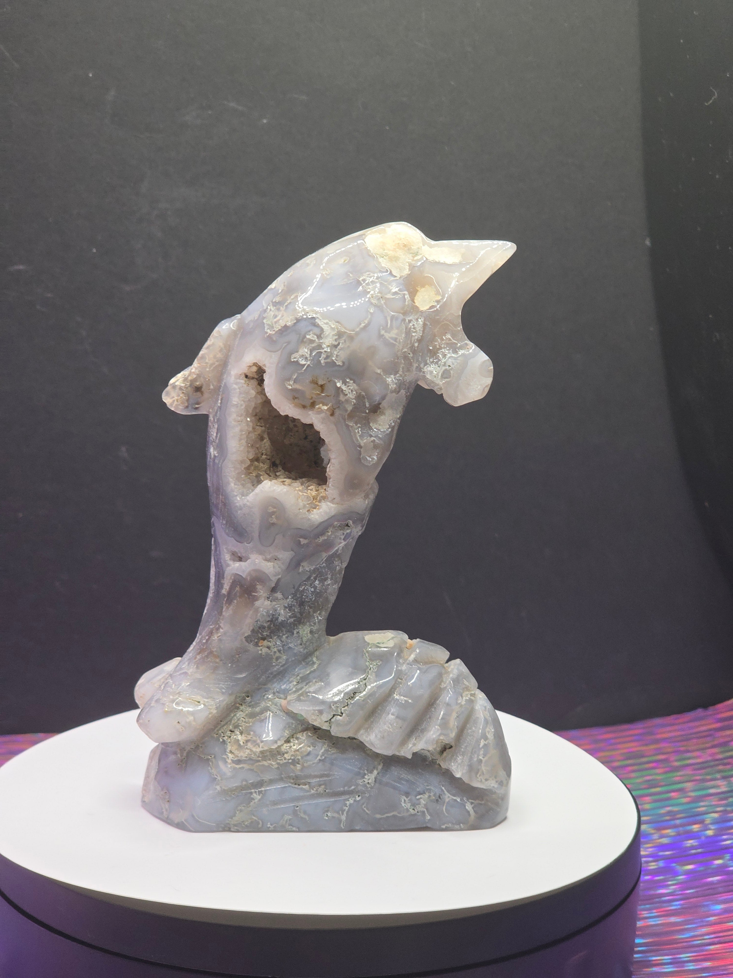 Moss Agate Dolphin