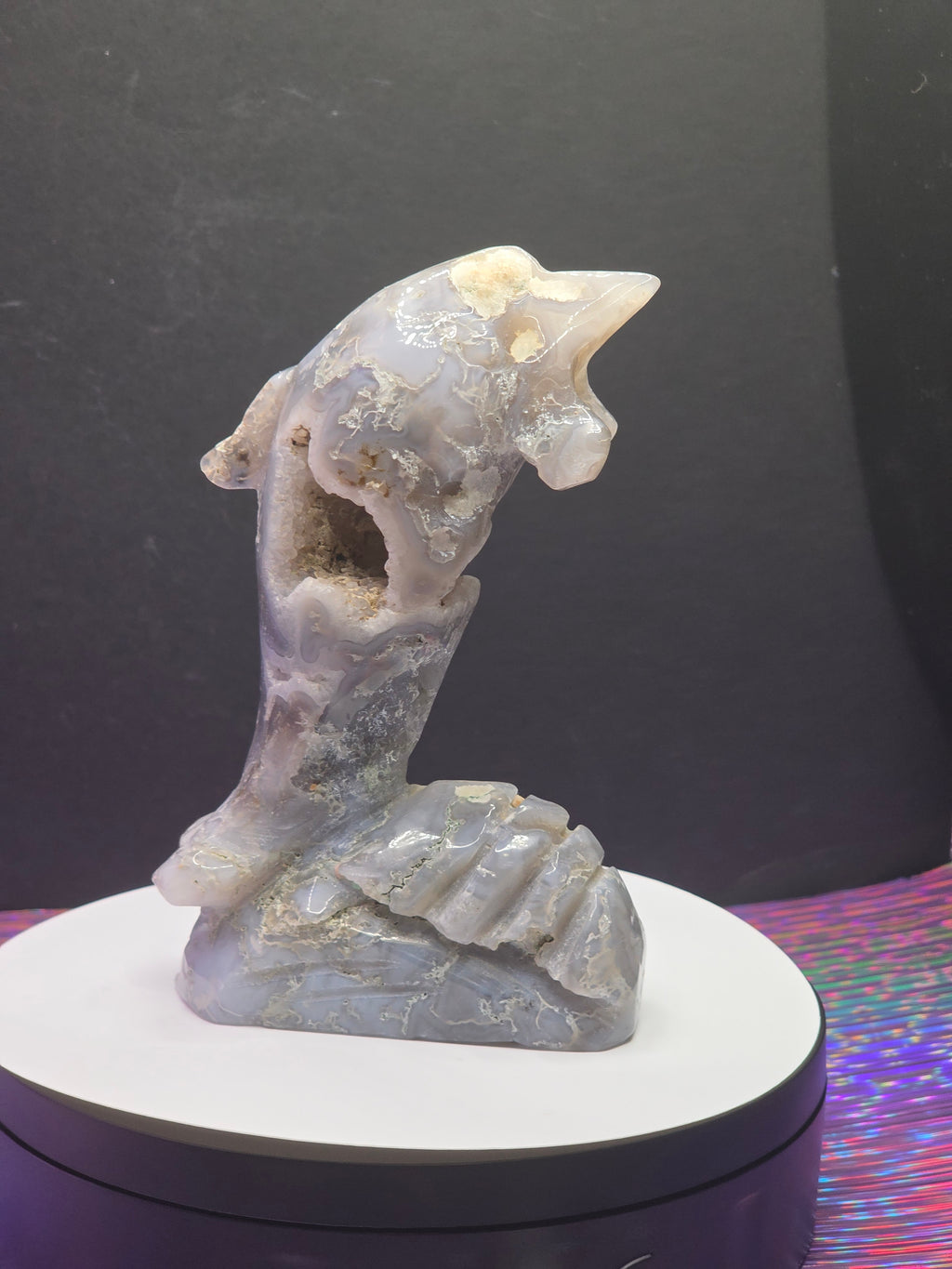 Moss Agate Dolphin