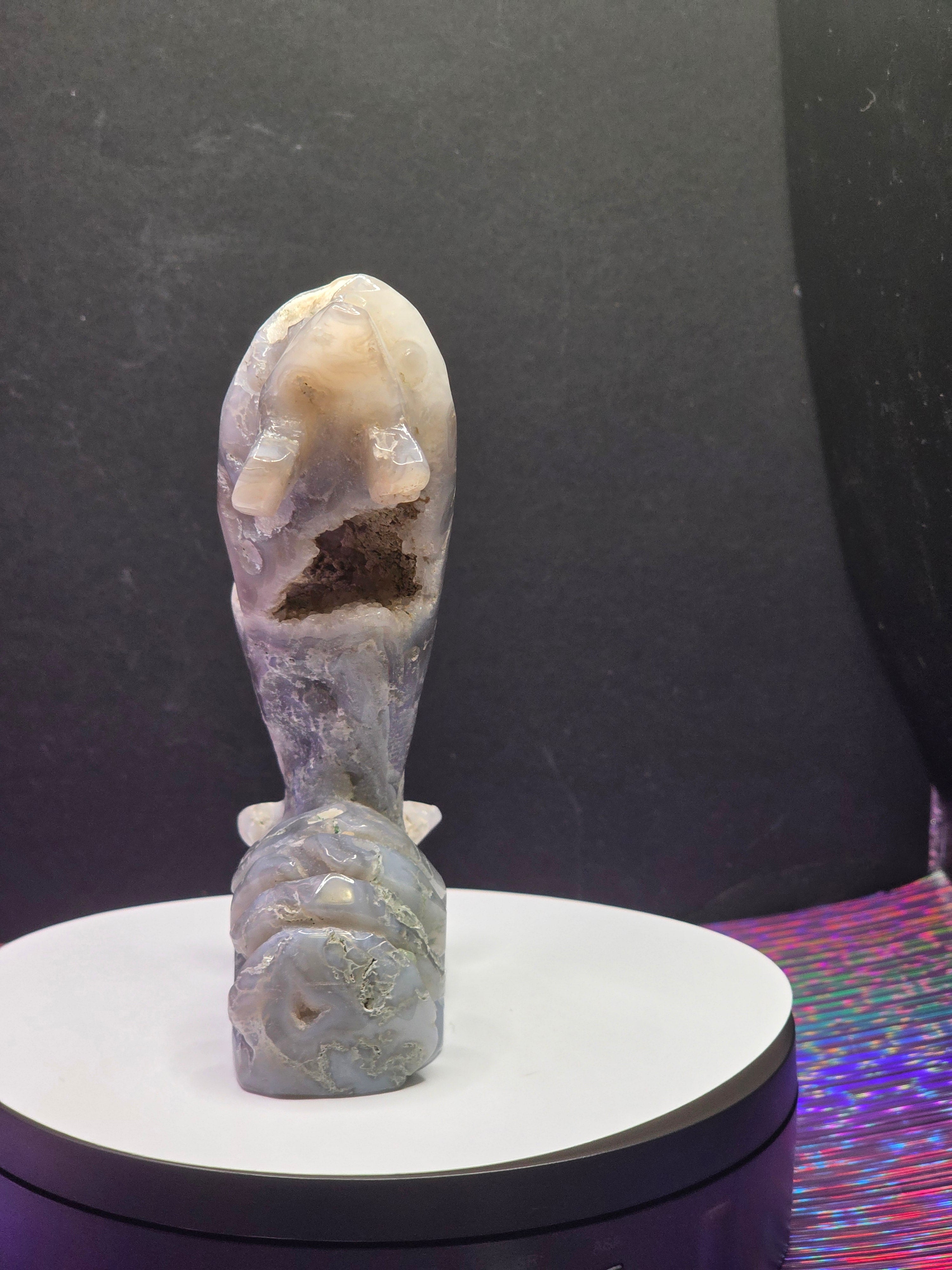 Moss Agate Dolphin