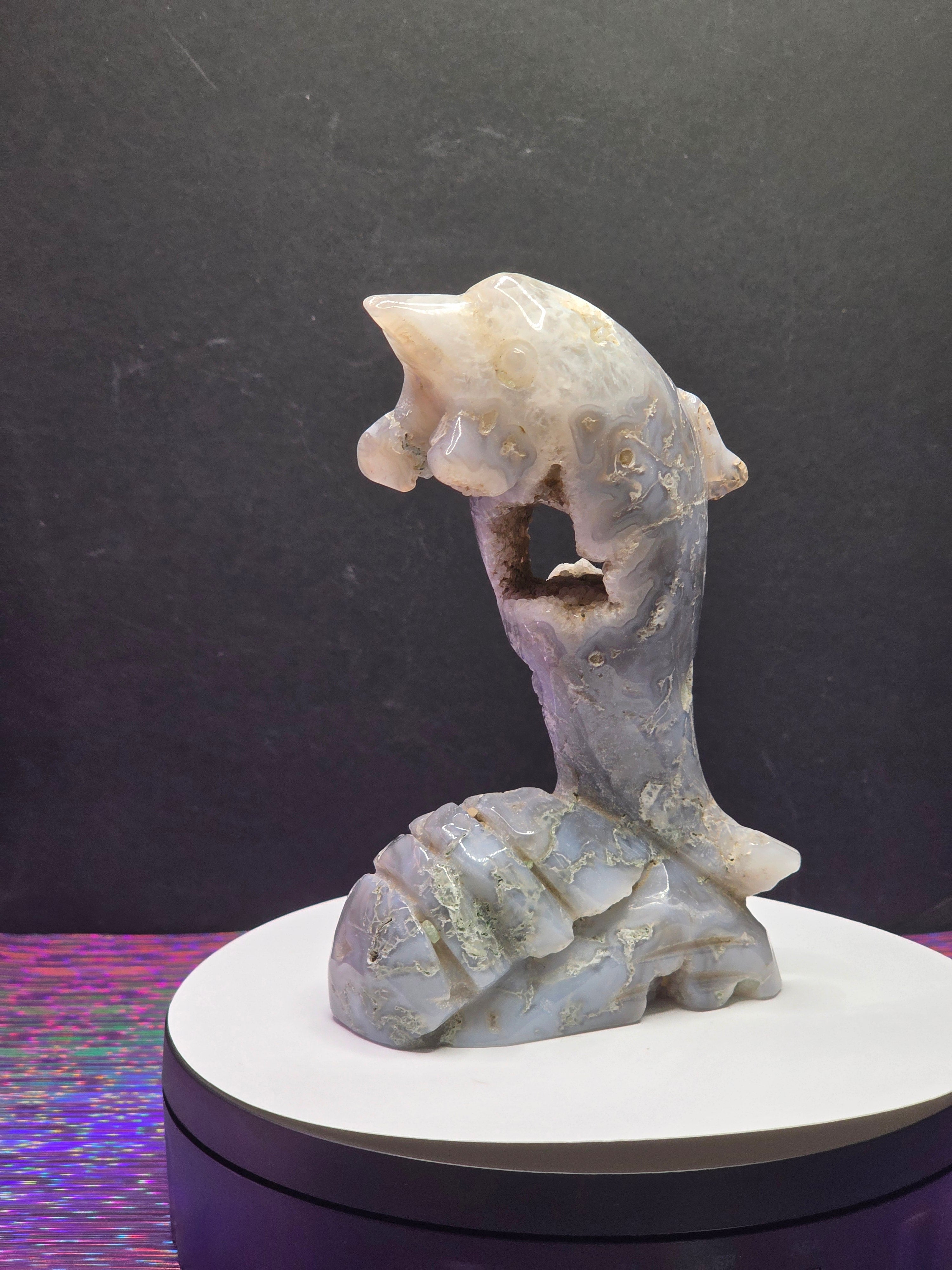 Moss Agate Dolphin