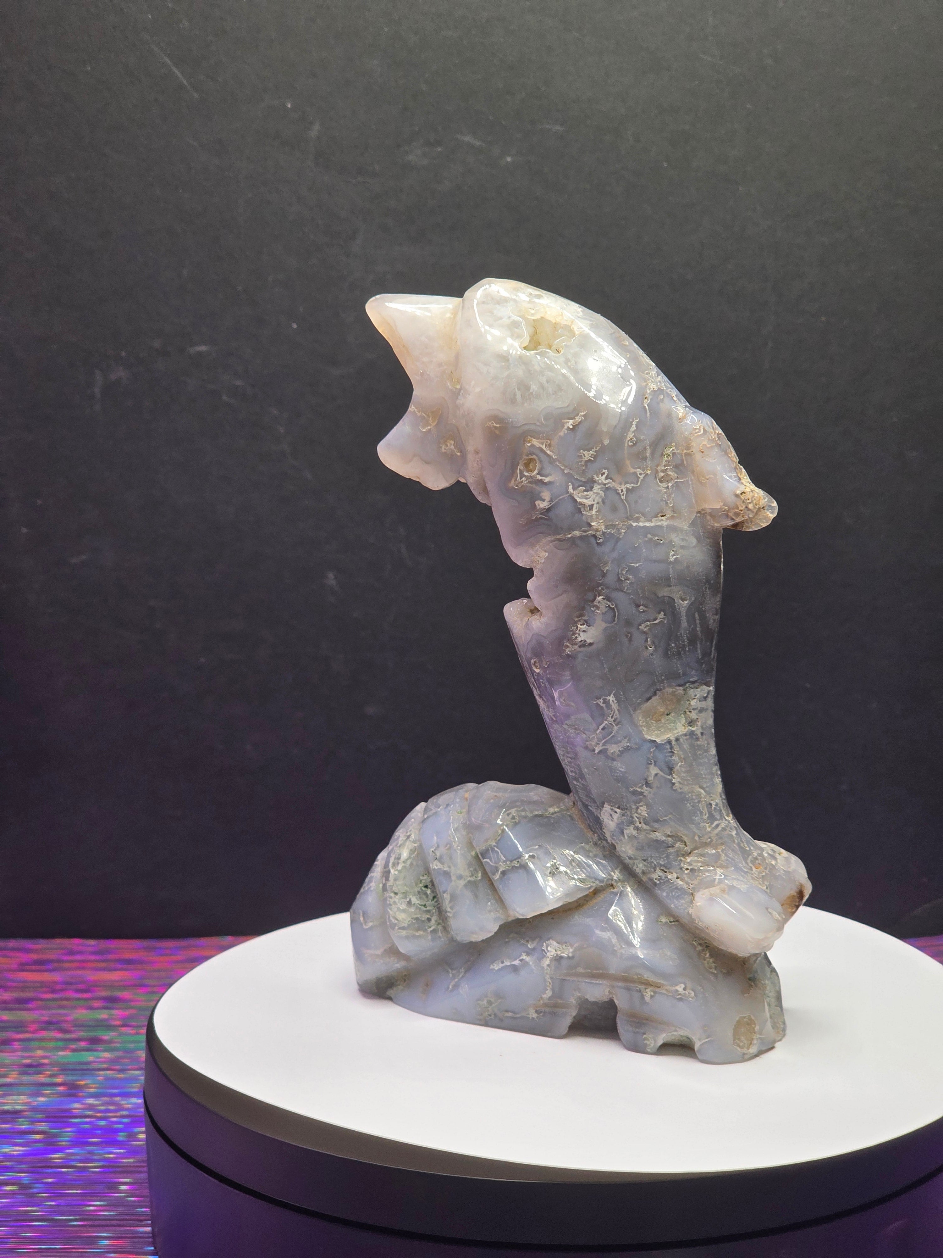 Moss Agate Dolphin