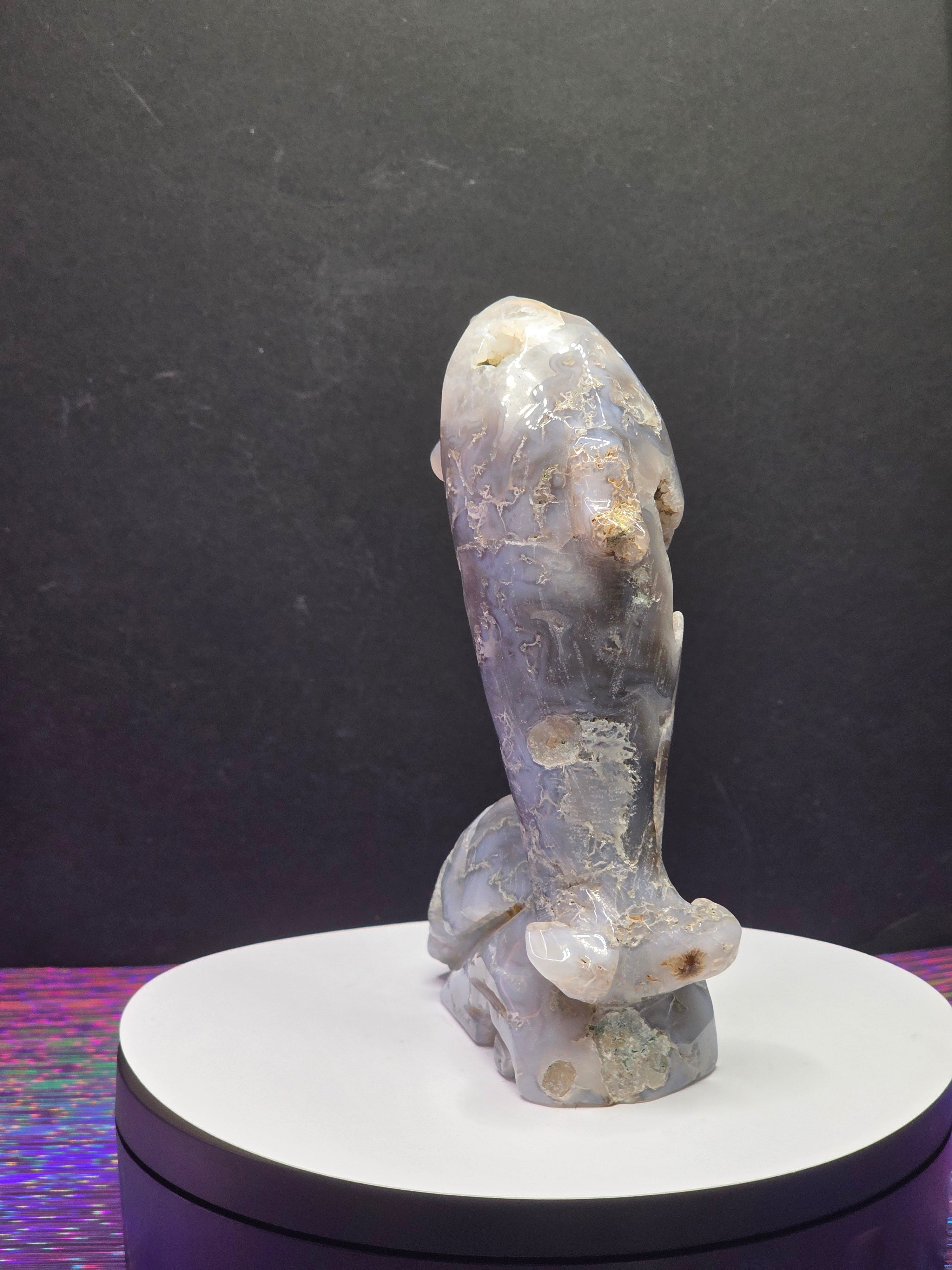 Moss Agate Dolphin