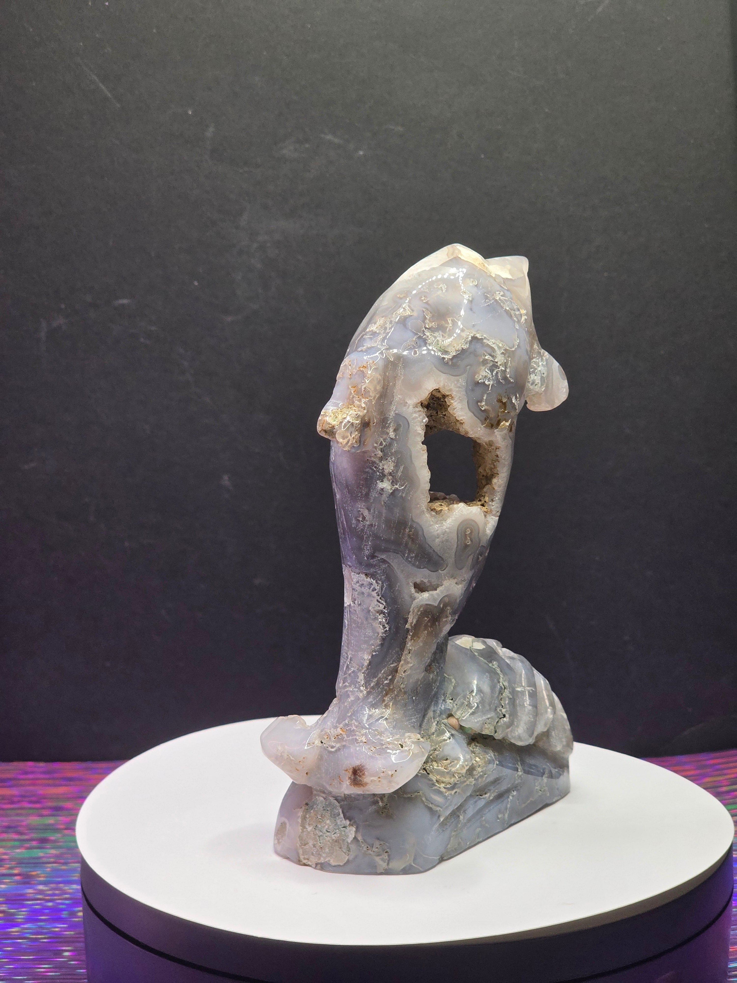 Moss Agate Dolphin