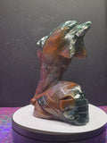 Ocean Jasper Dolphin