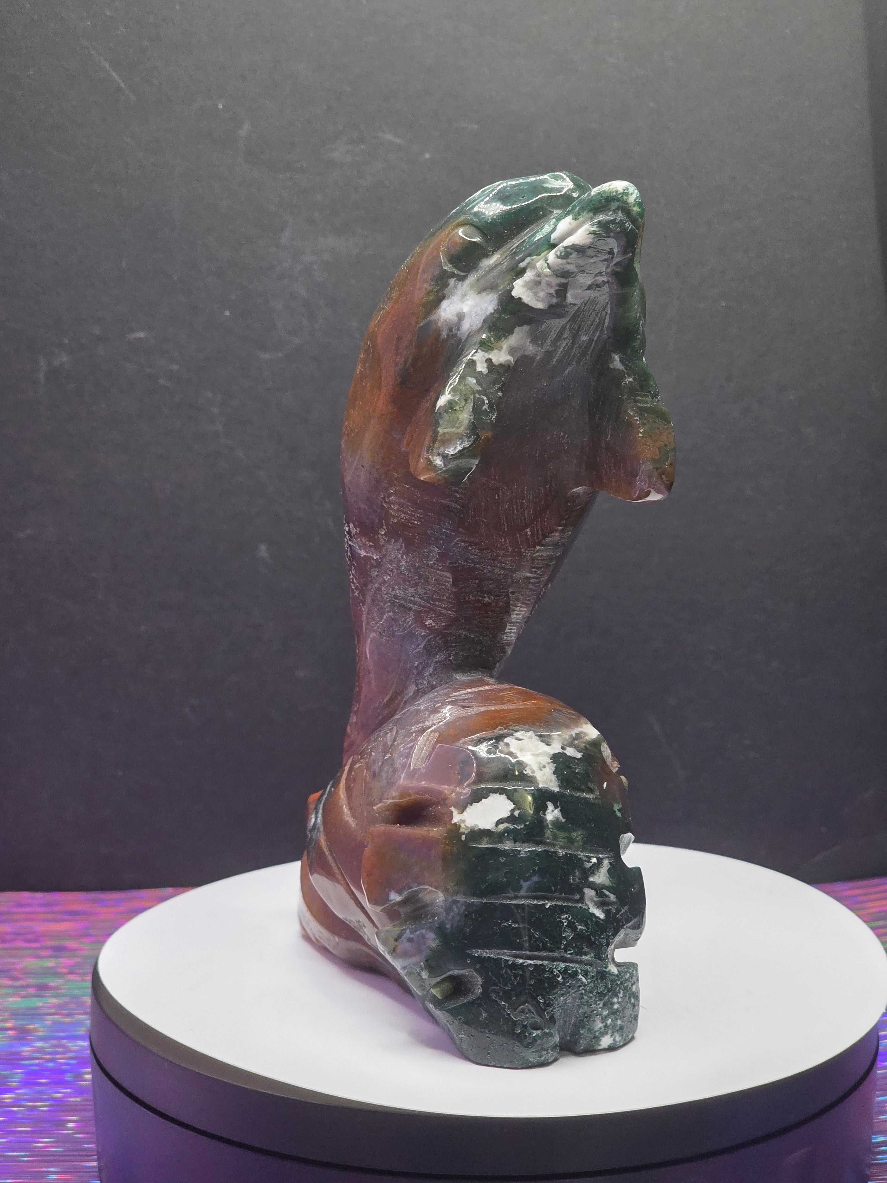 Ocean Jasper Dolphin
