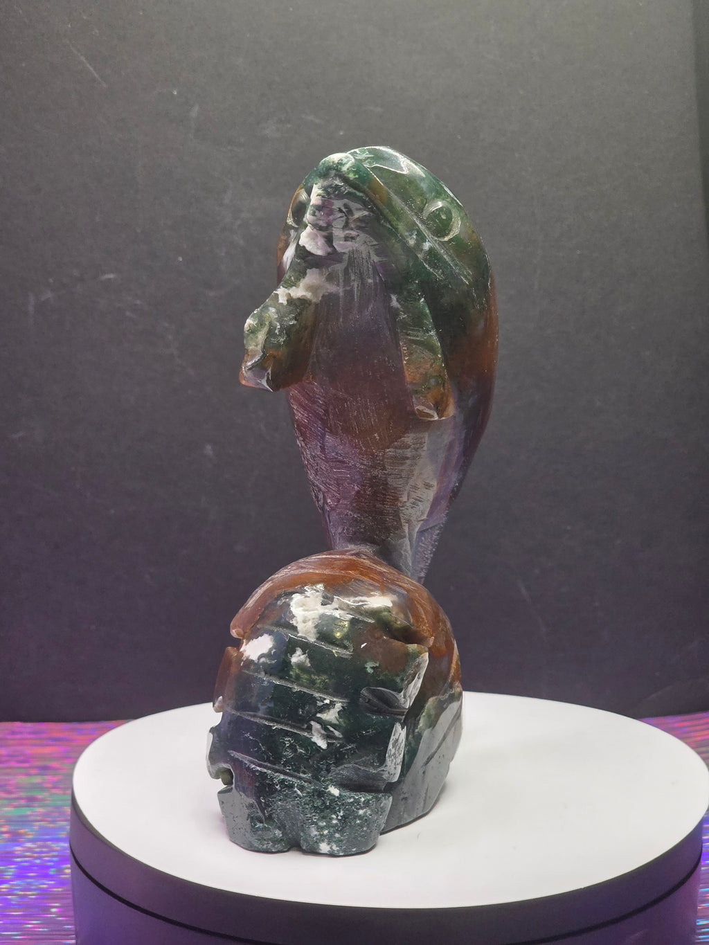 Ocean Jasper Dolphin