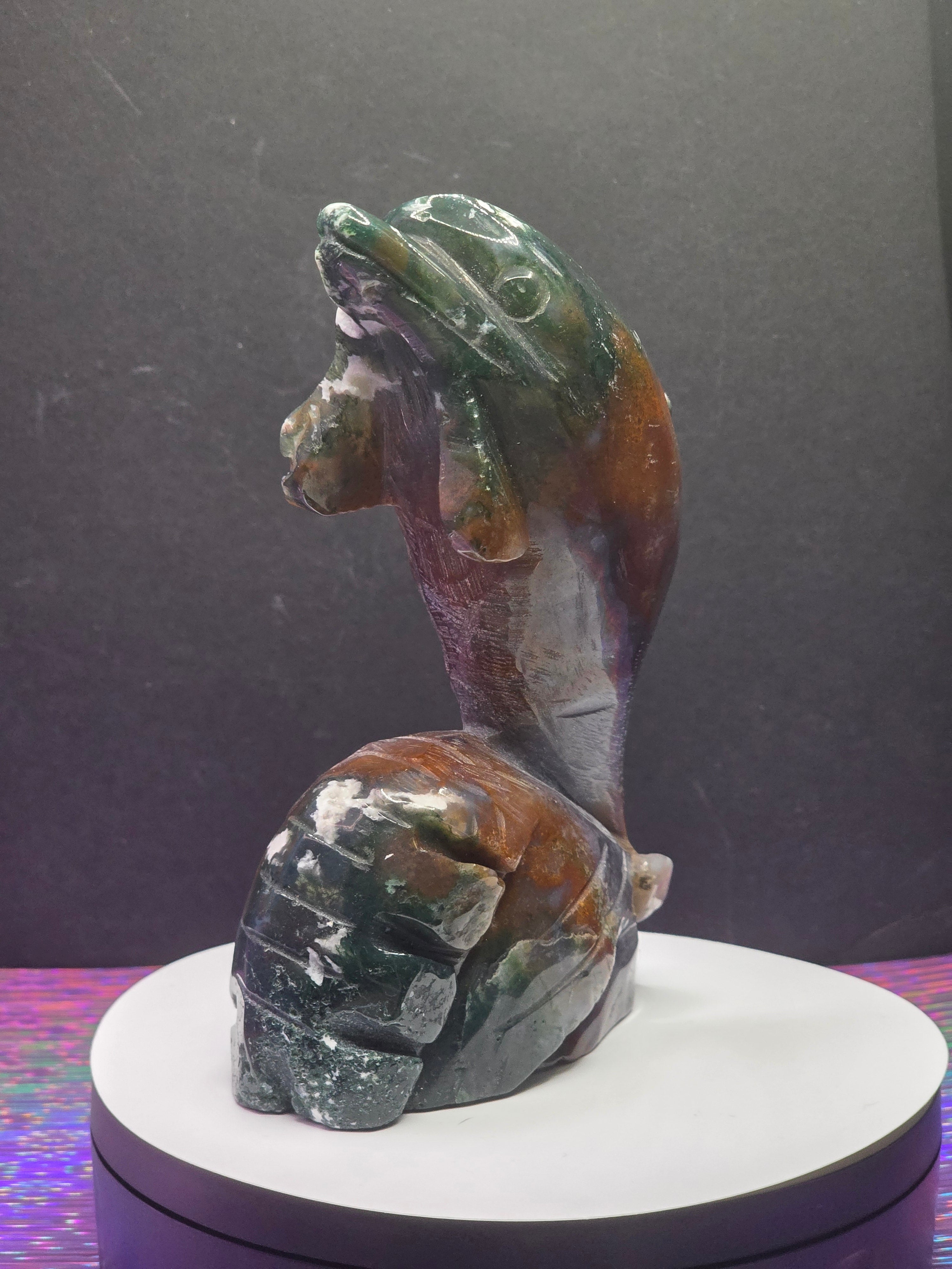 Ocean Jasper Dolphin
