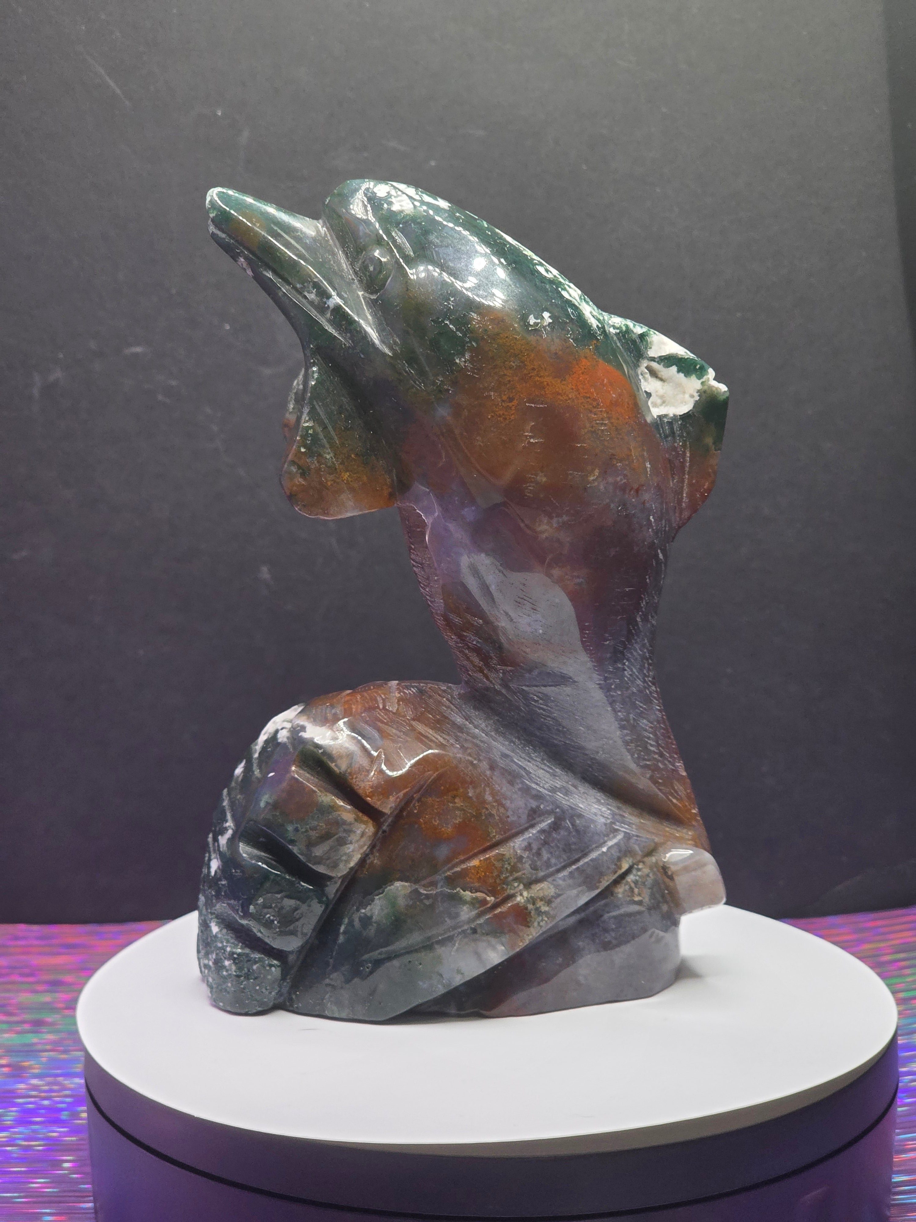 Ocean Jasper Dolphin