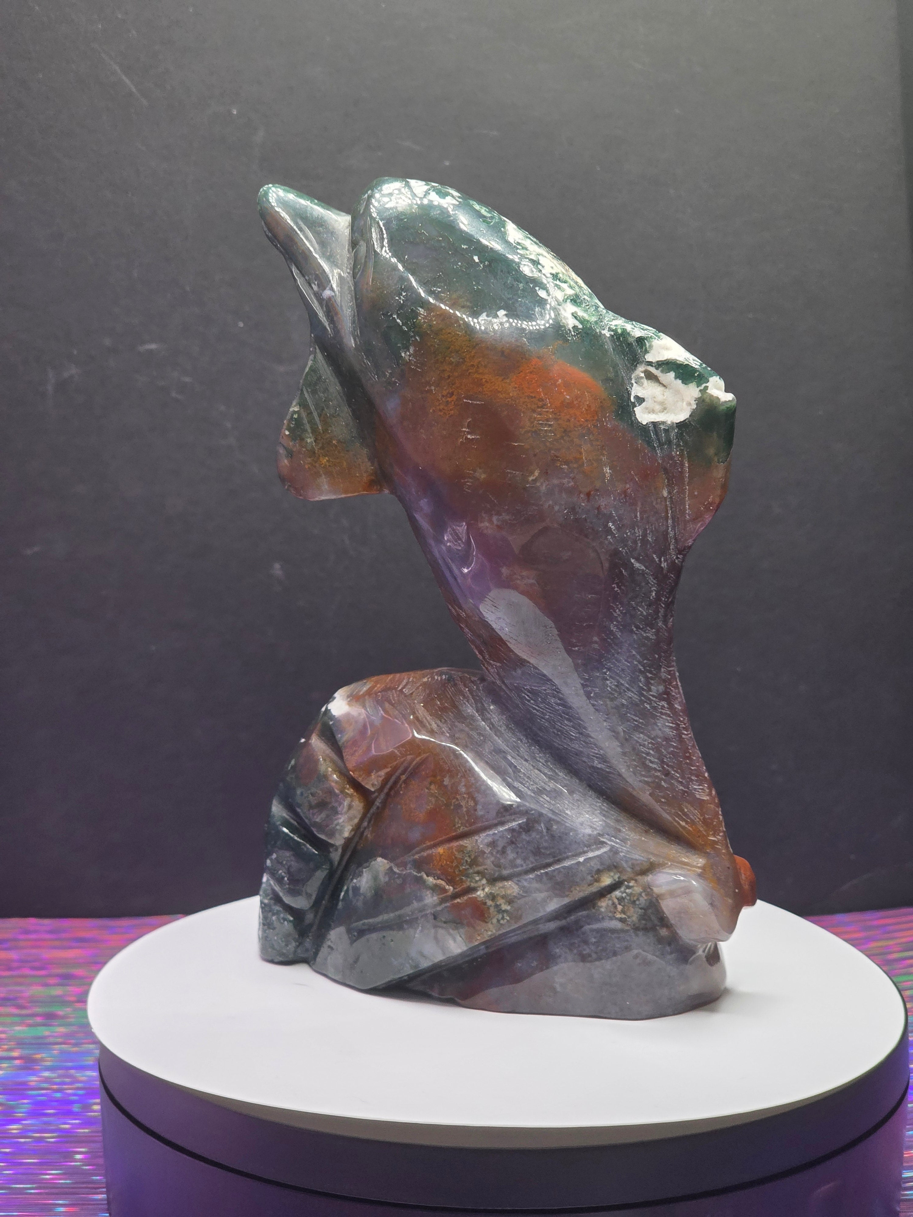 Ocean Jasper Dolphin