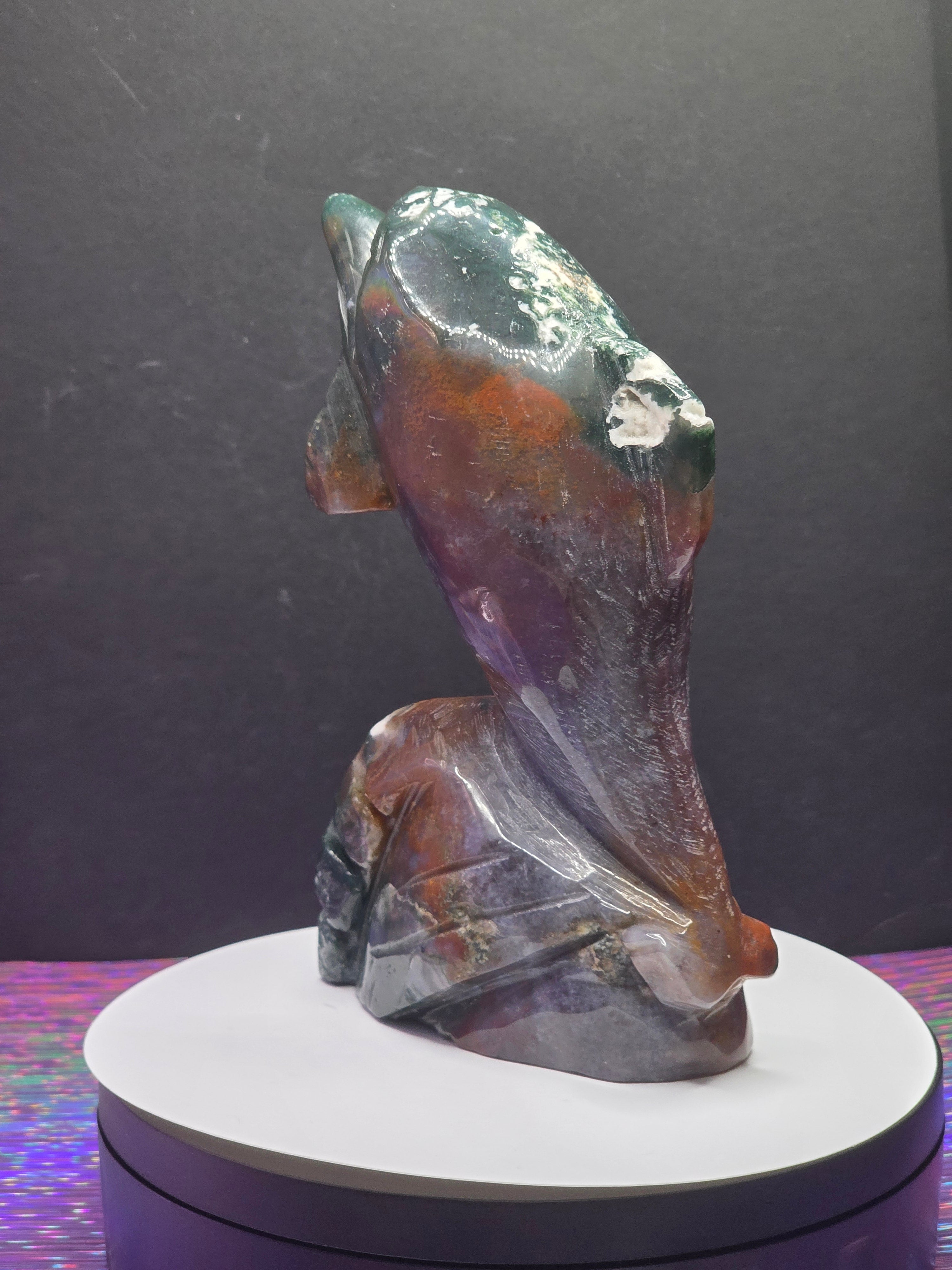 Ocean Jasper Dolphin