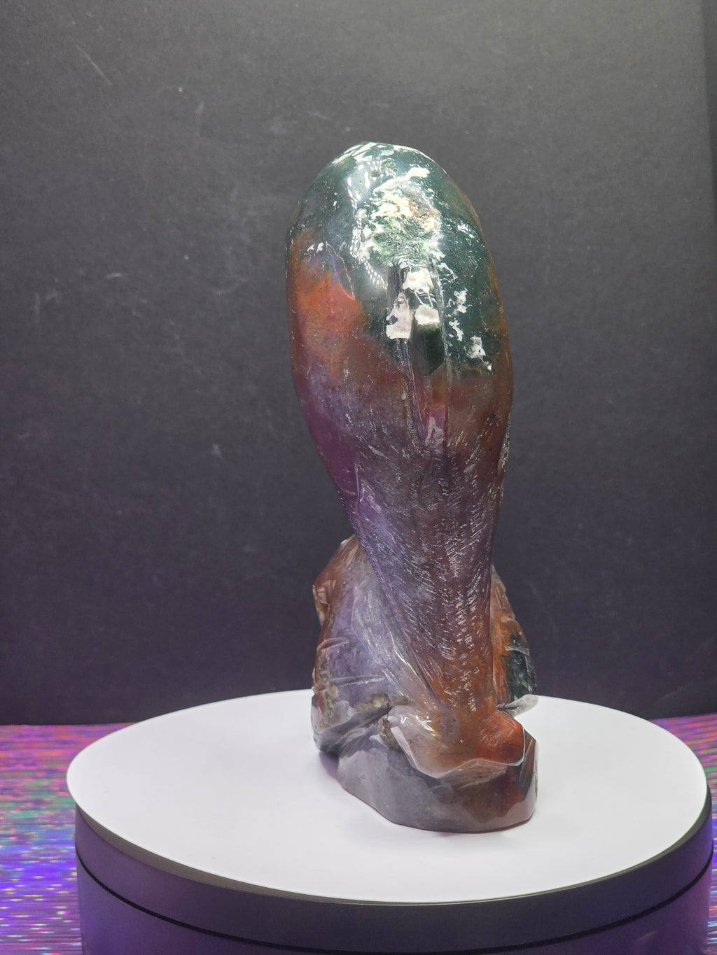 Ocean Jasper Dolphin