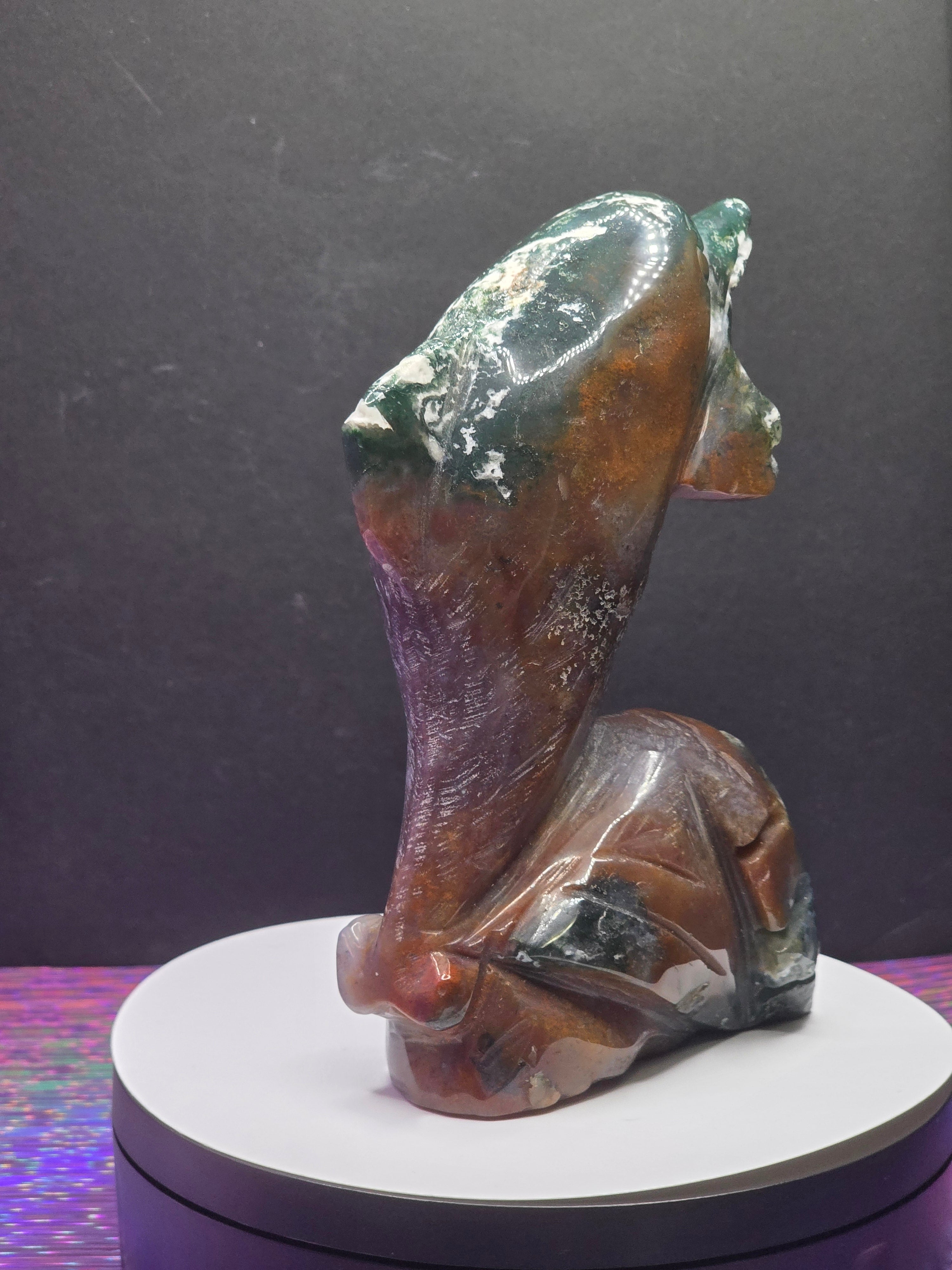 Ocean Jasper Dolphin