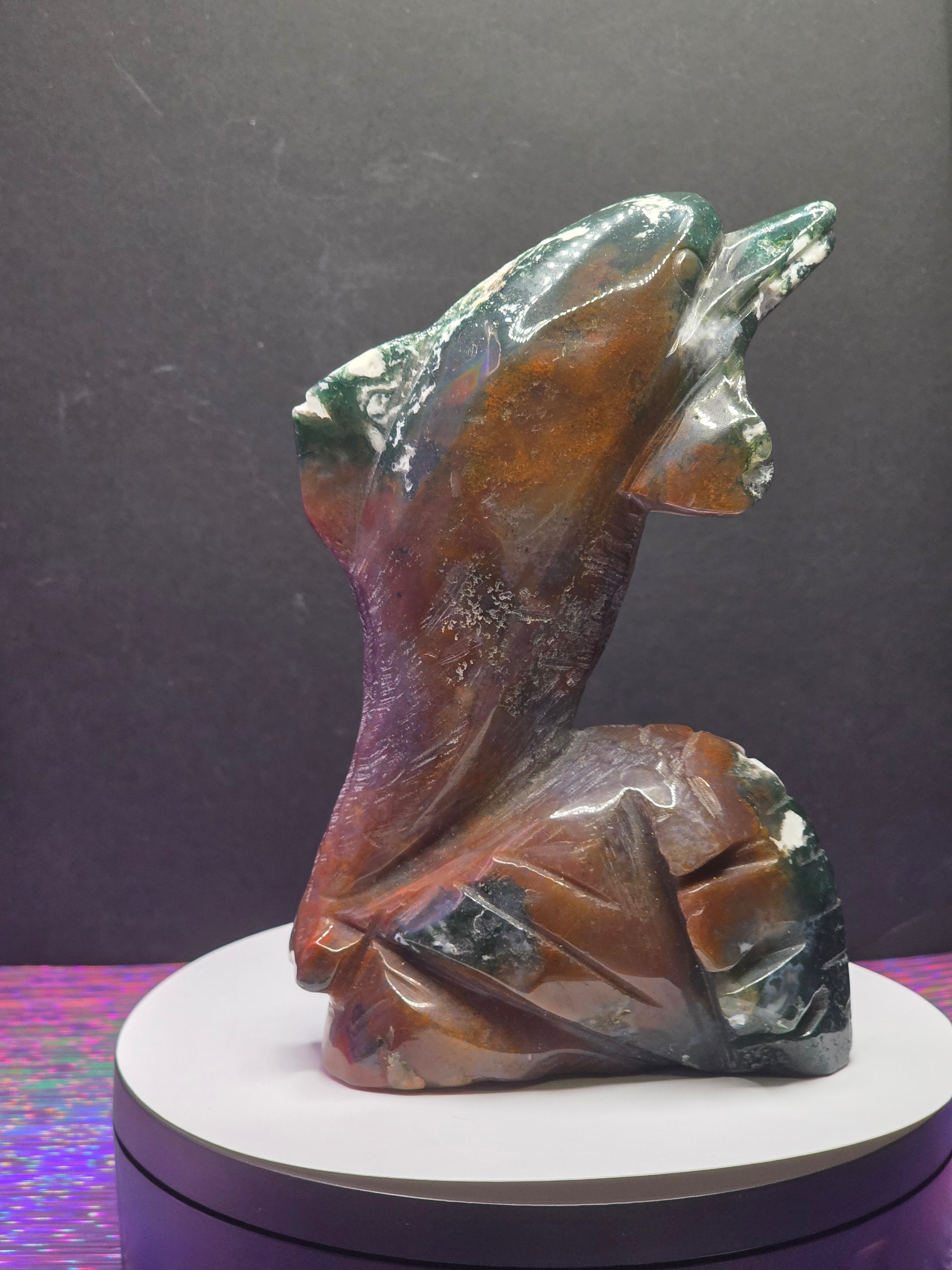 Ocean Jasper Dolphin