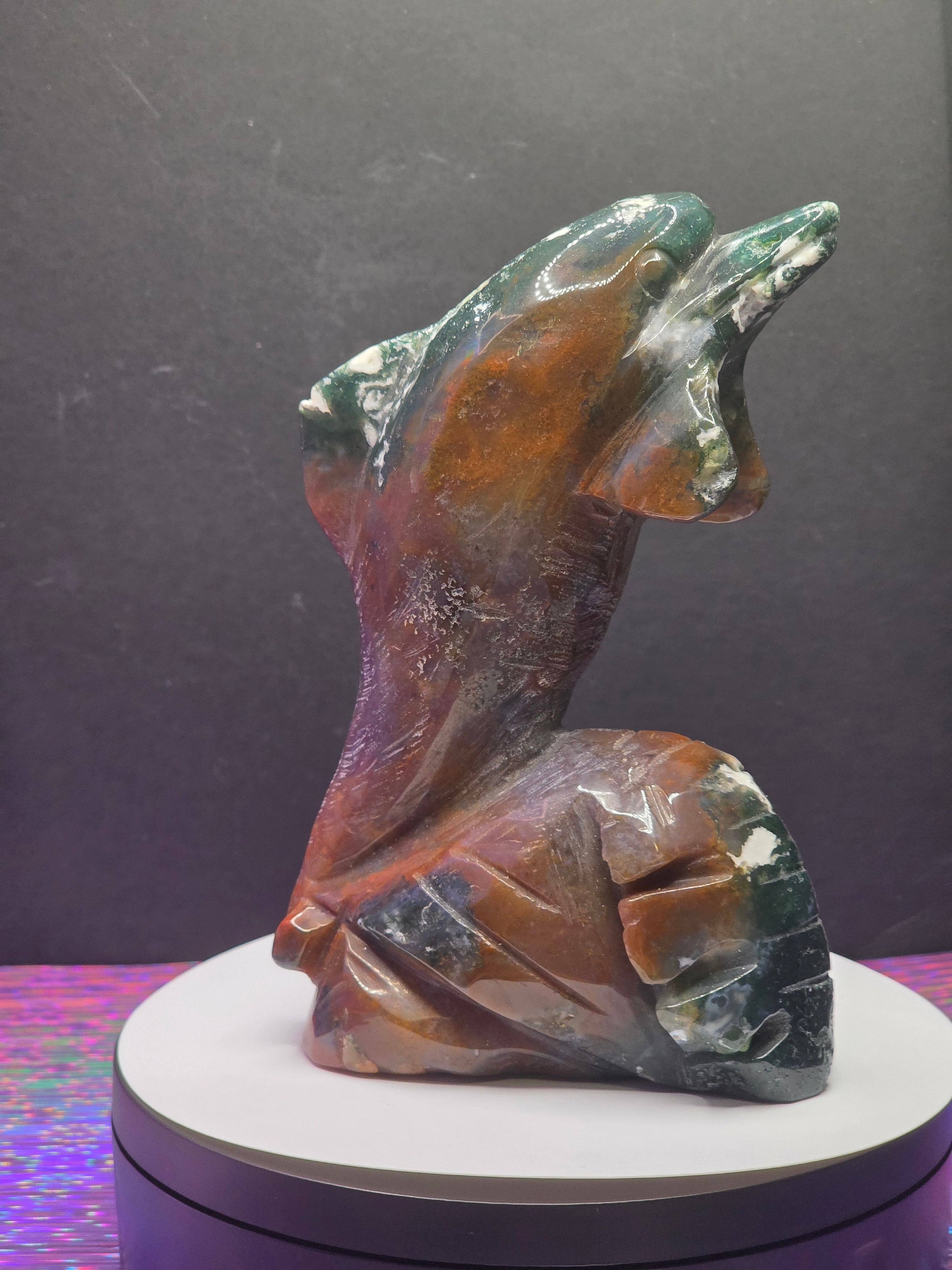 Ocean Jasper Dolphin
