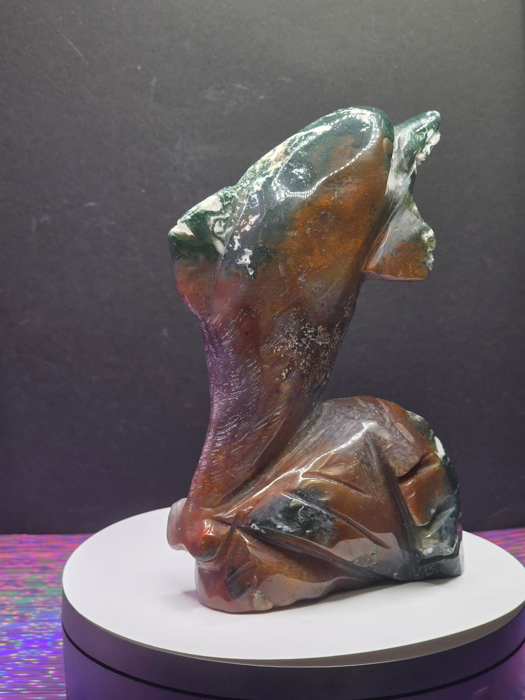 Ocean Jasper Dolphin