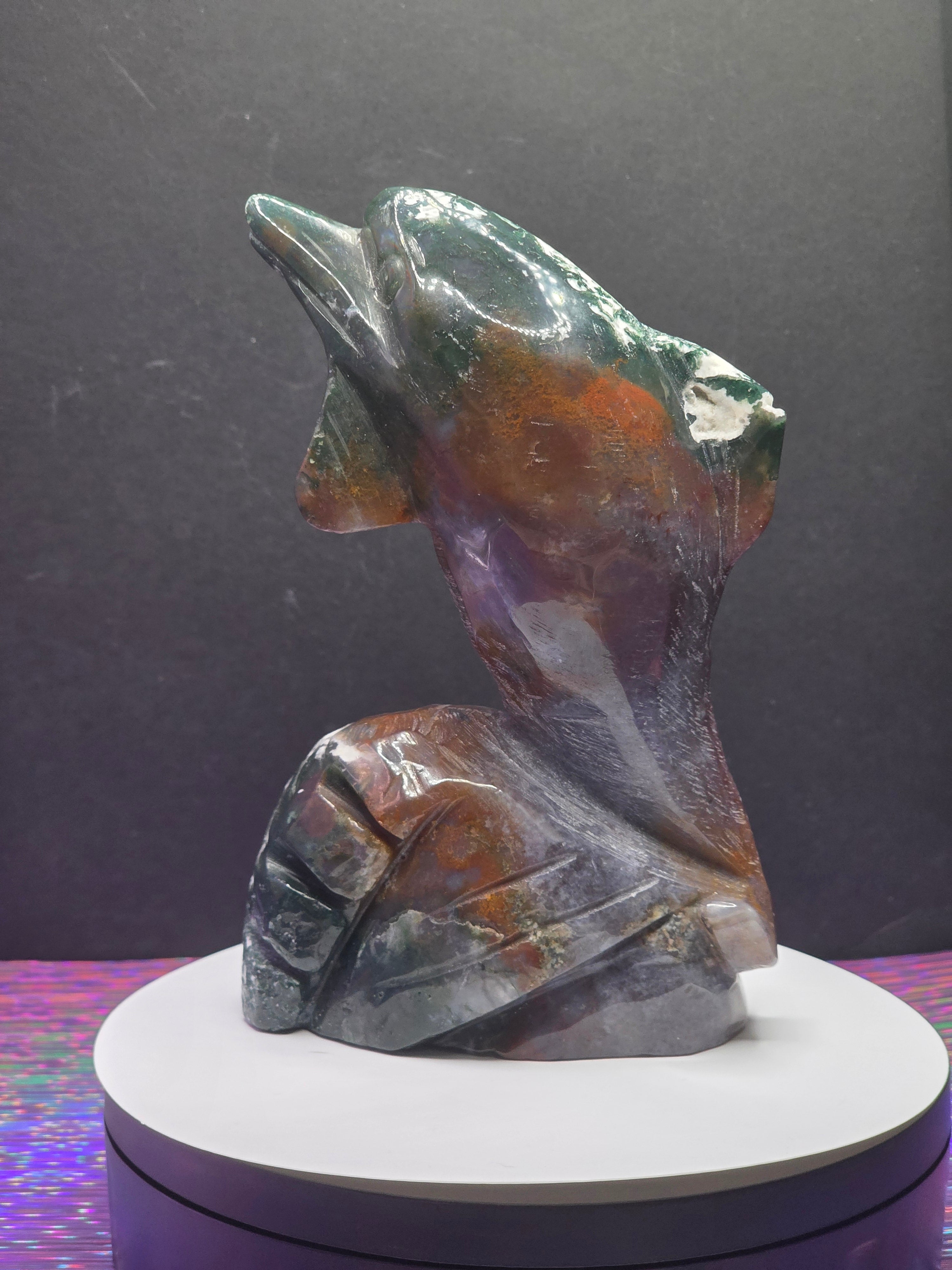 Ocean Jasper Dolphin
