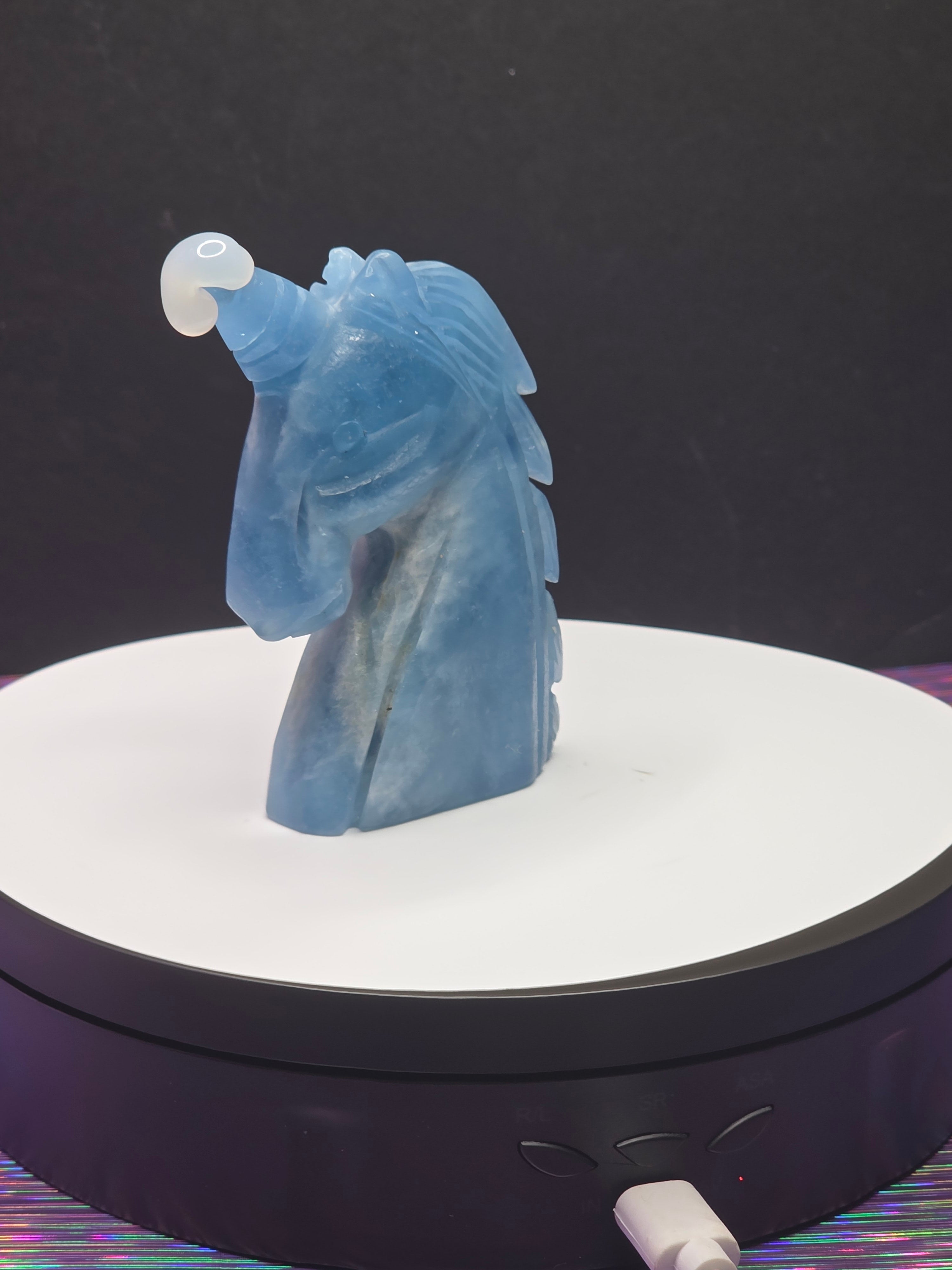 Dark Blue Aquamarine Unicorn