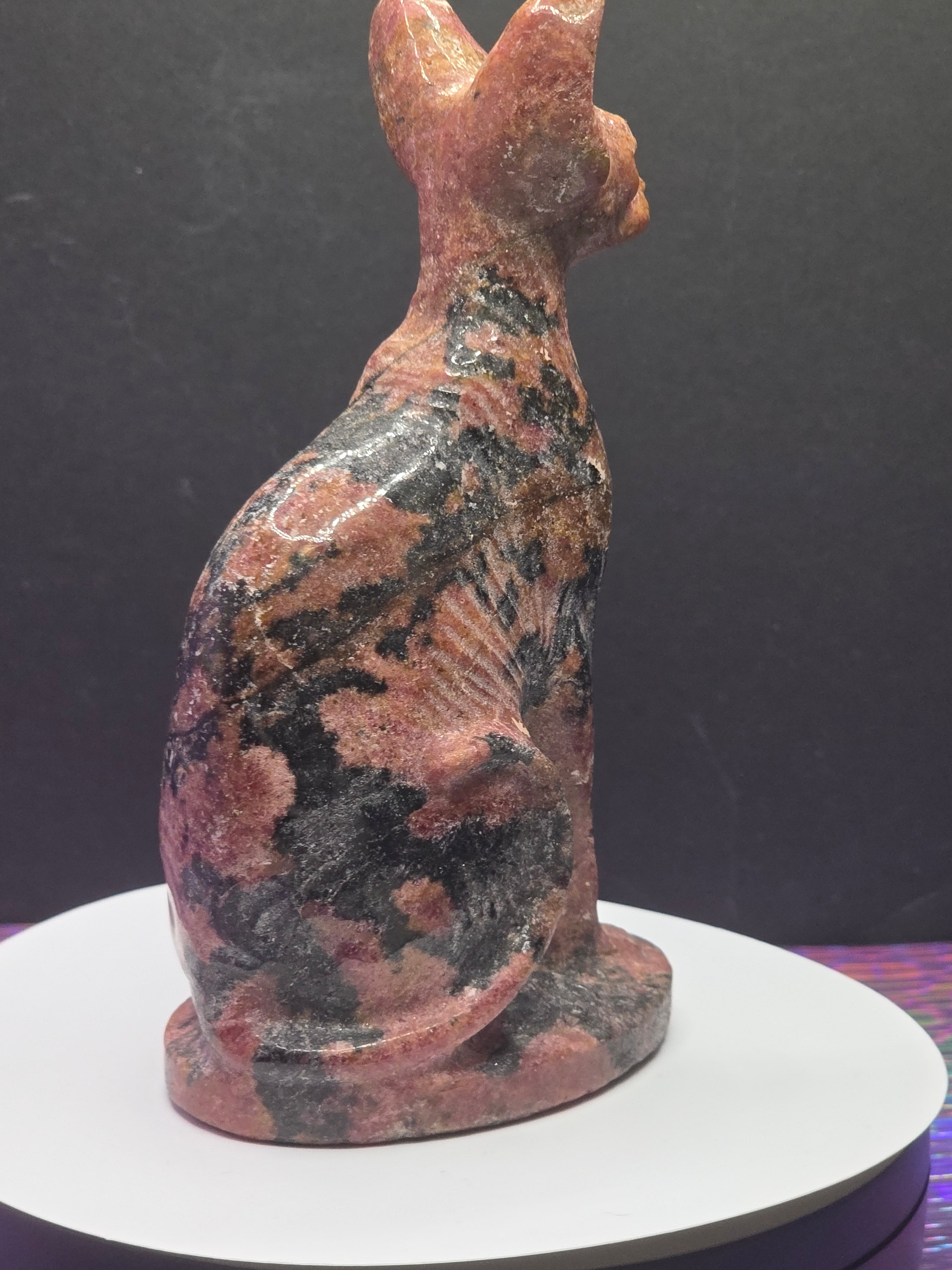 Rhodonite Sphynx Cat