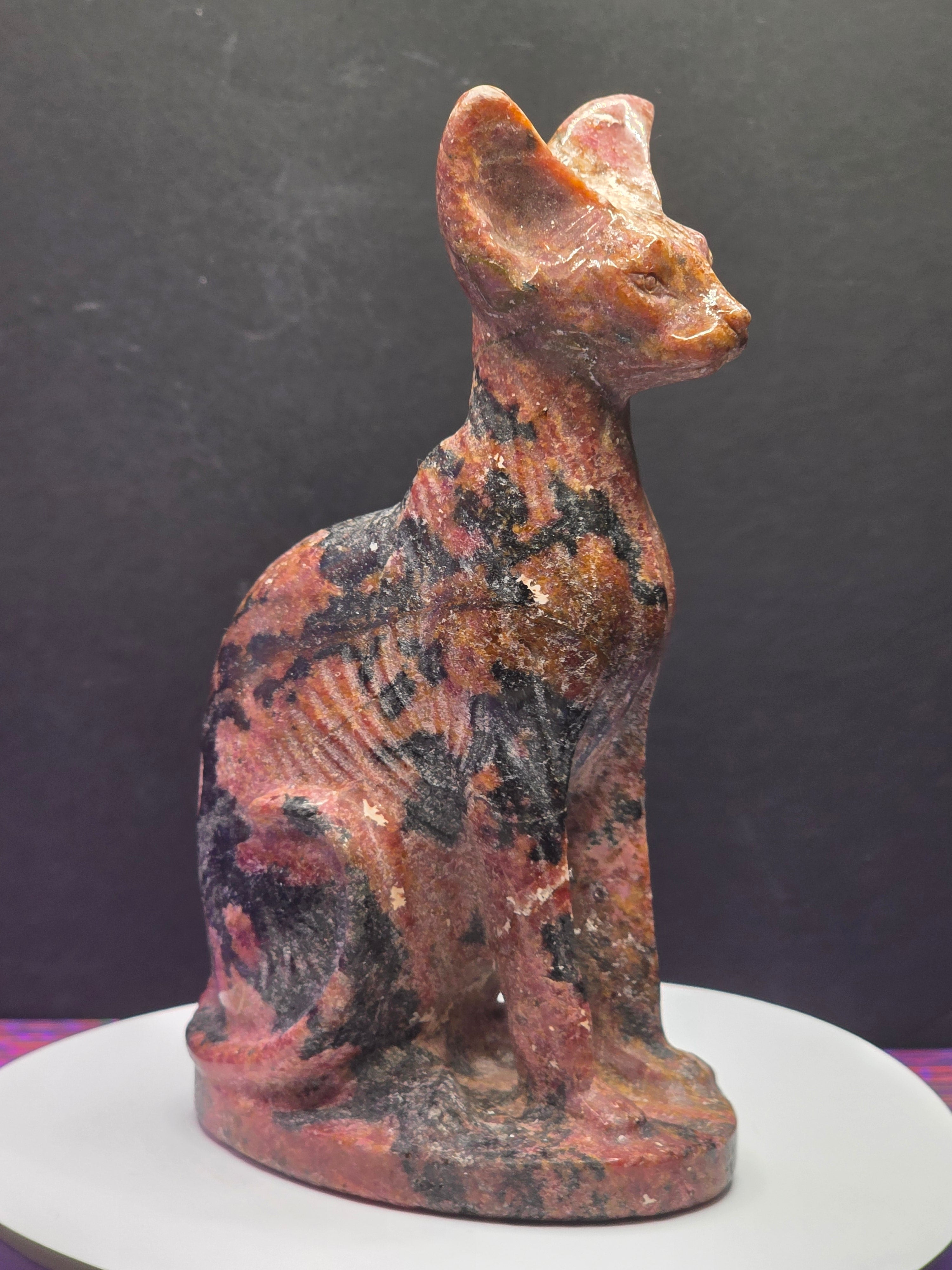 Rhodonite Sphynx Cat