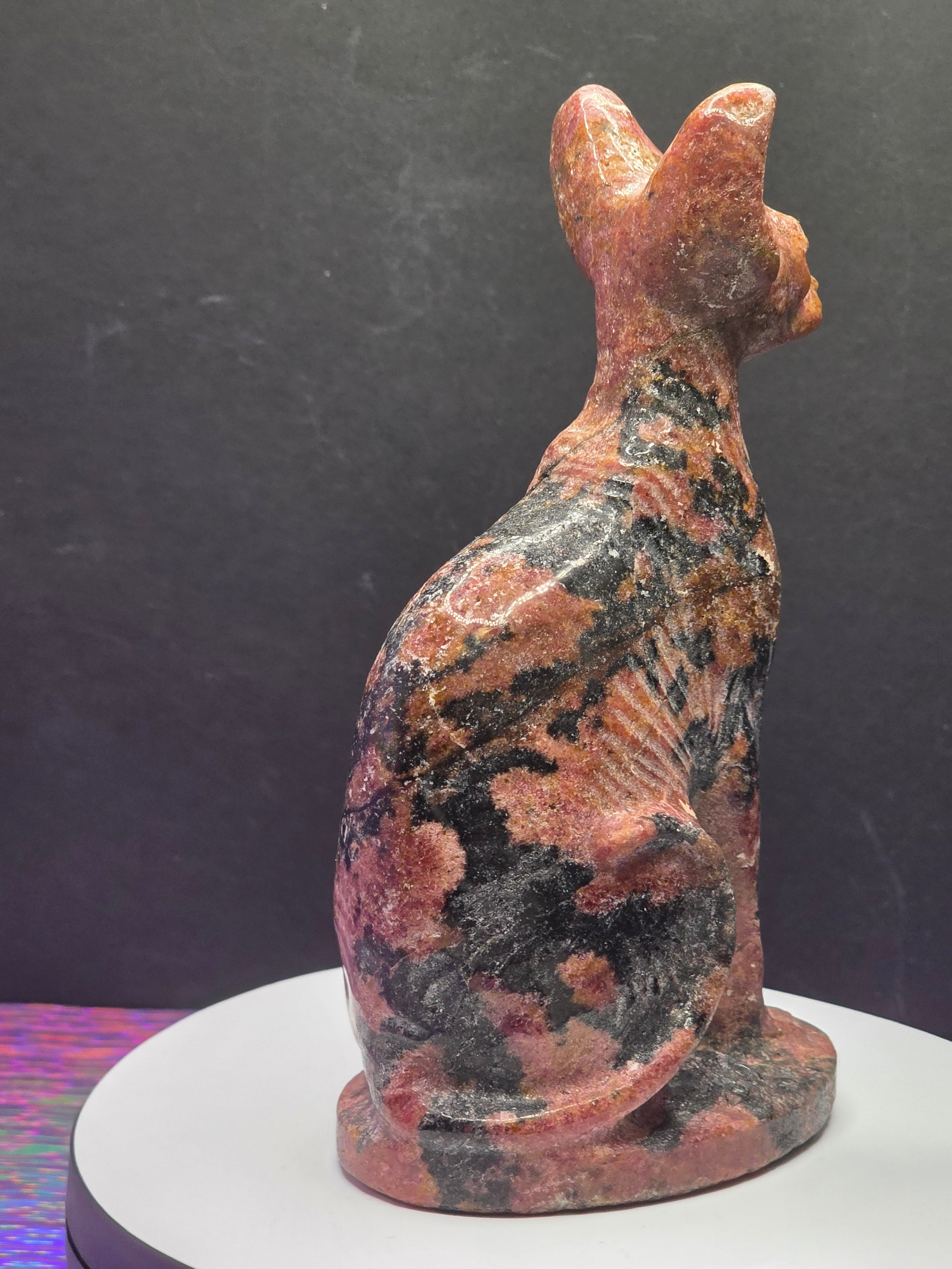 Rhodonite Sphynx Cat