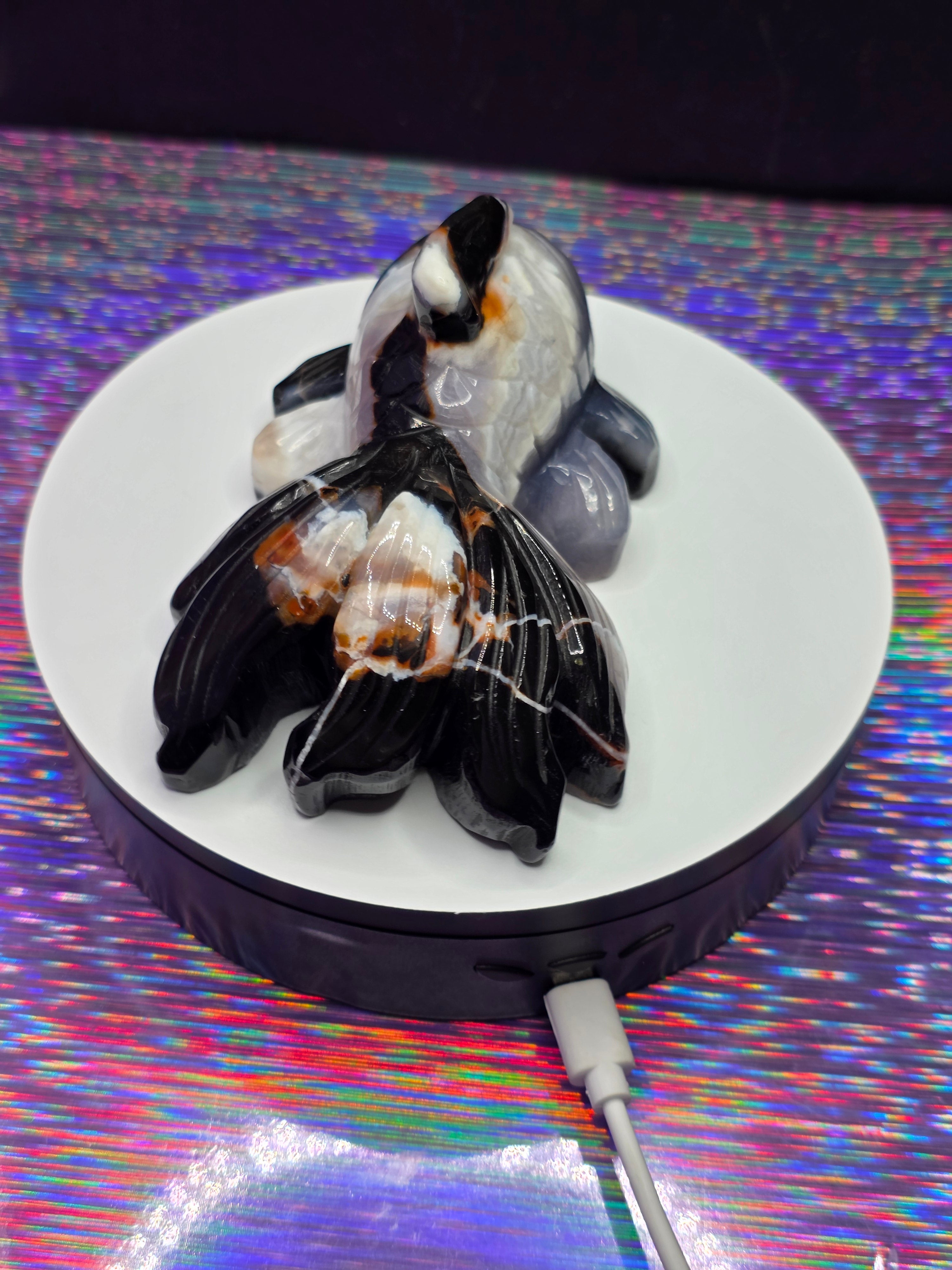 Agate Koi Fish