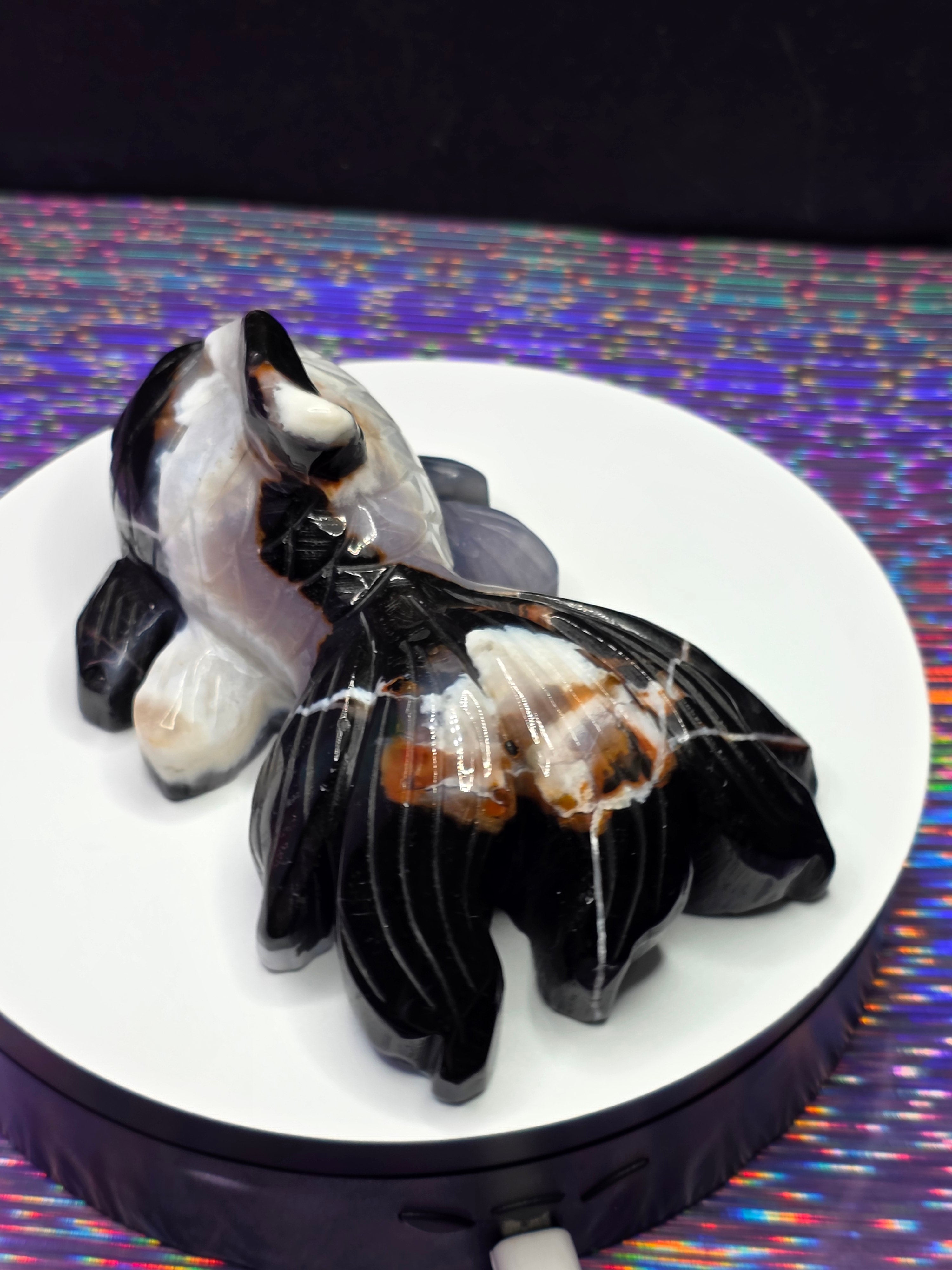 Agate Koi Fish