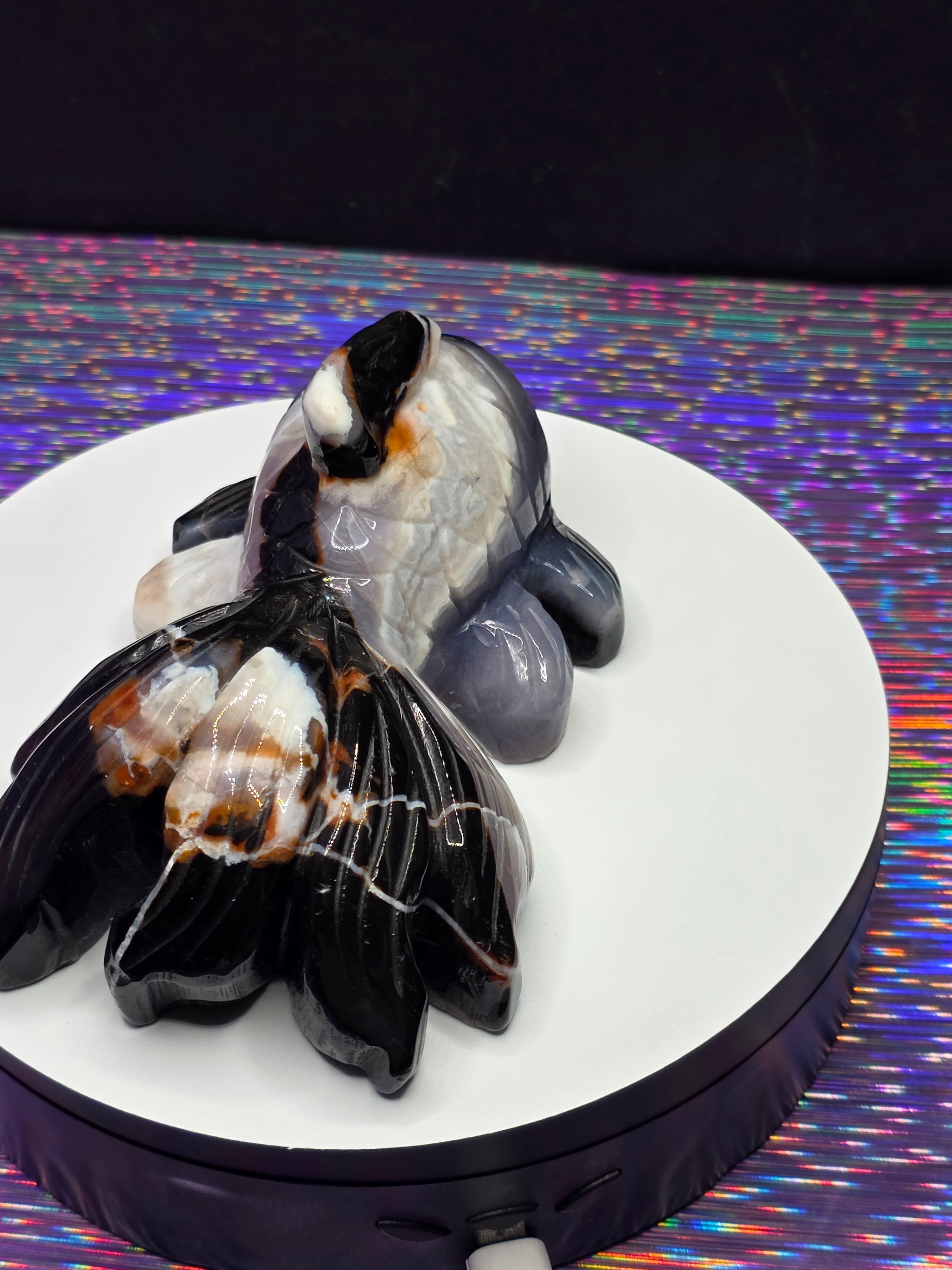 Agate Koi Fish