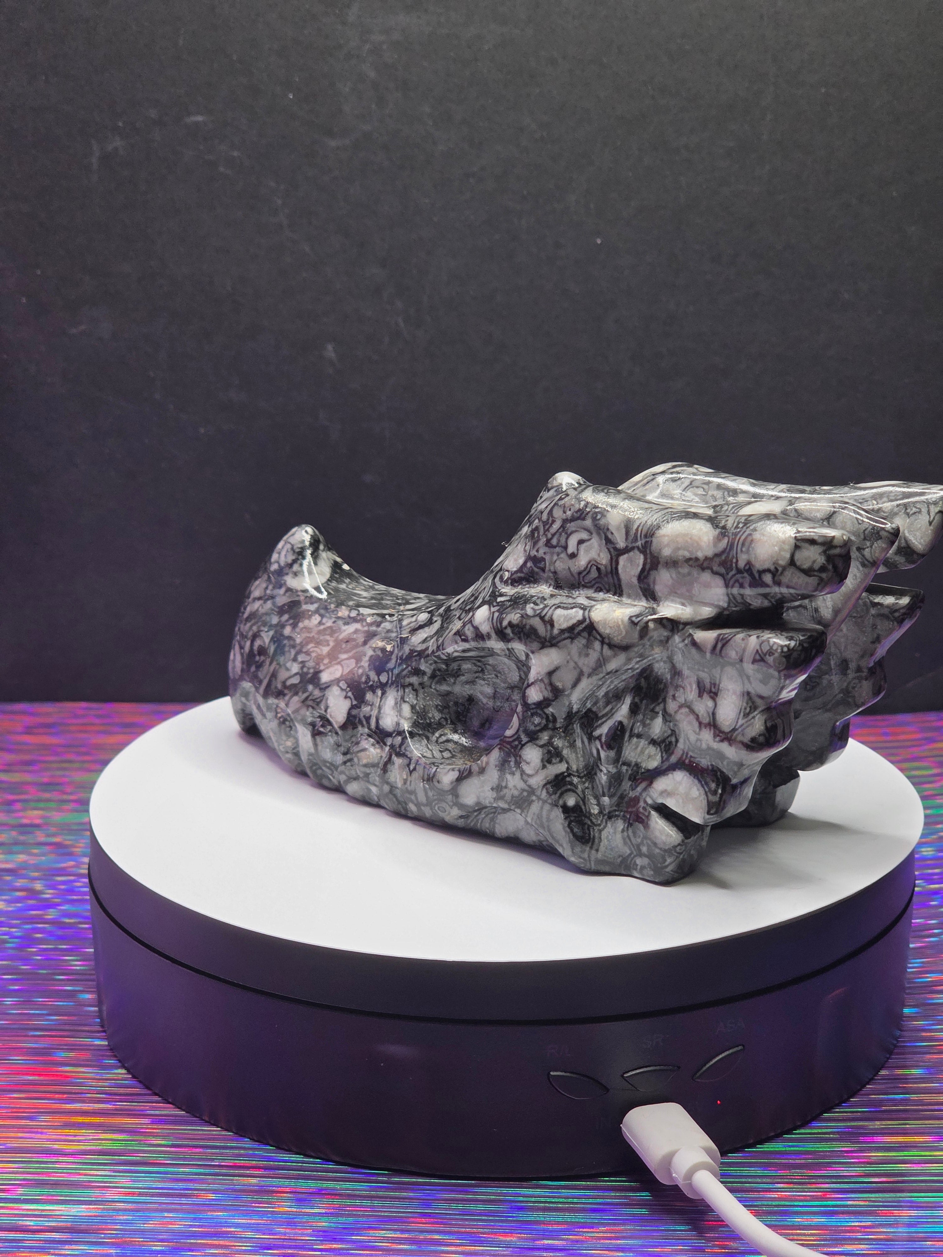 Orthoceras Dragon Head