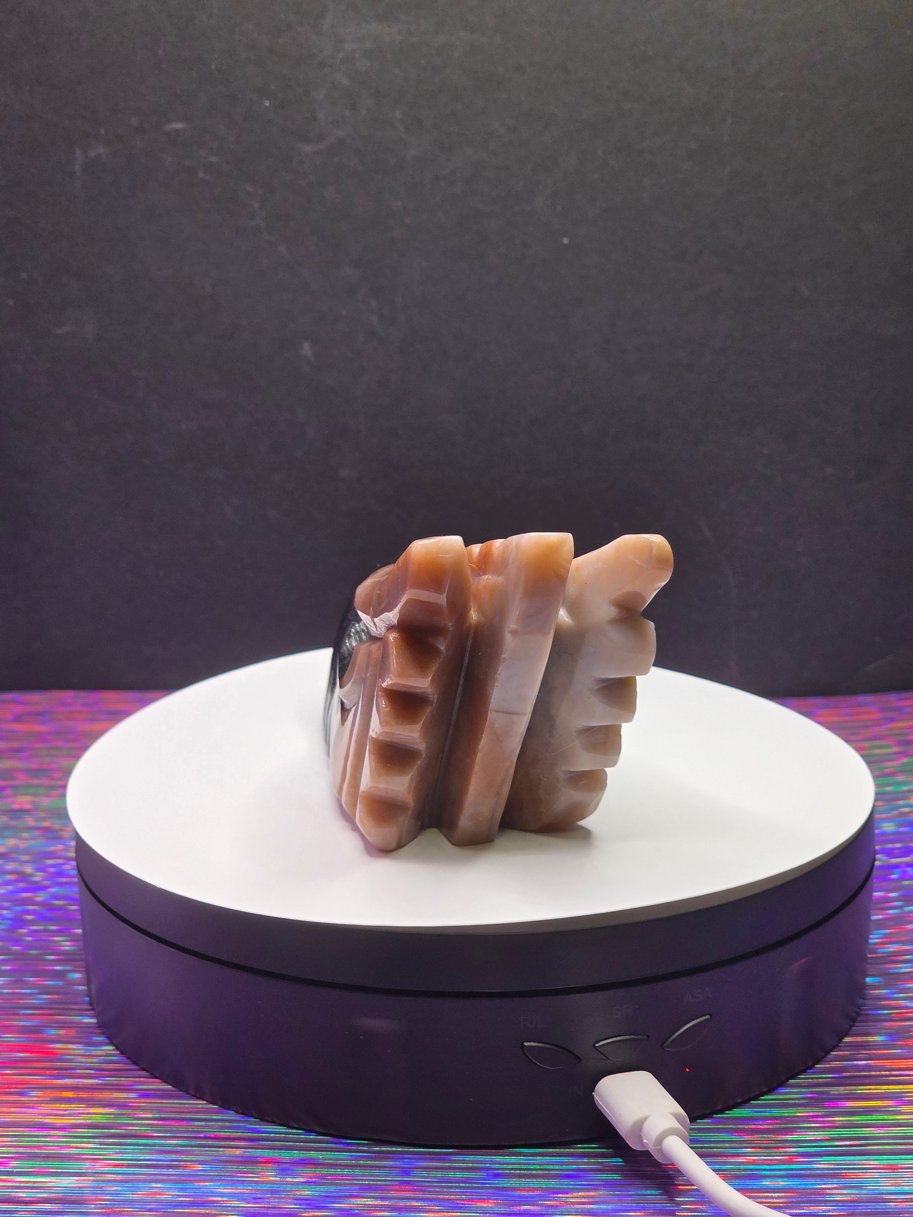 Black & Red Ocean Jasper Dragon Head