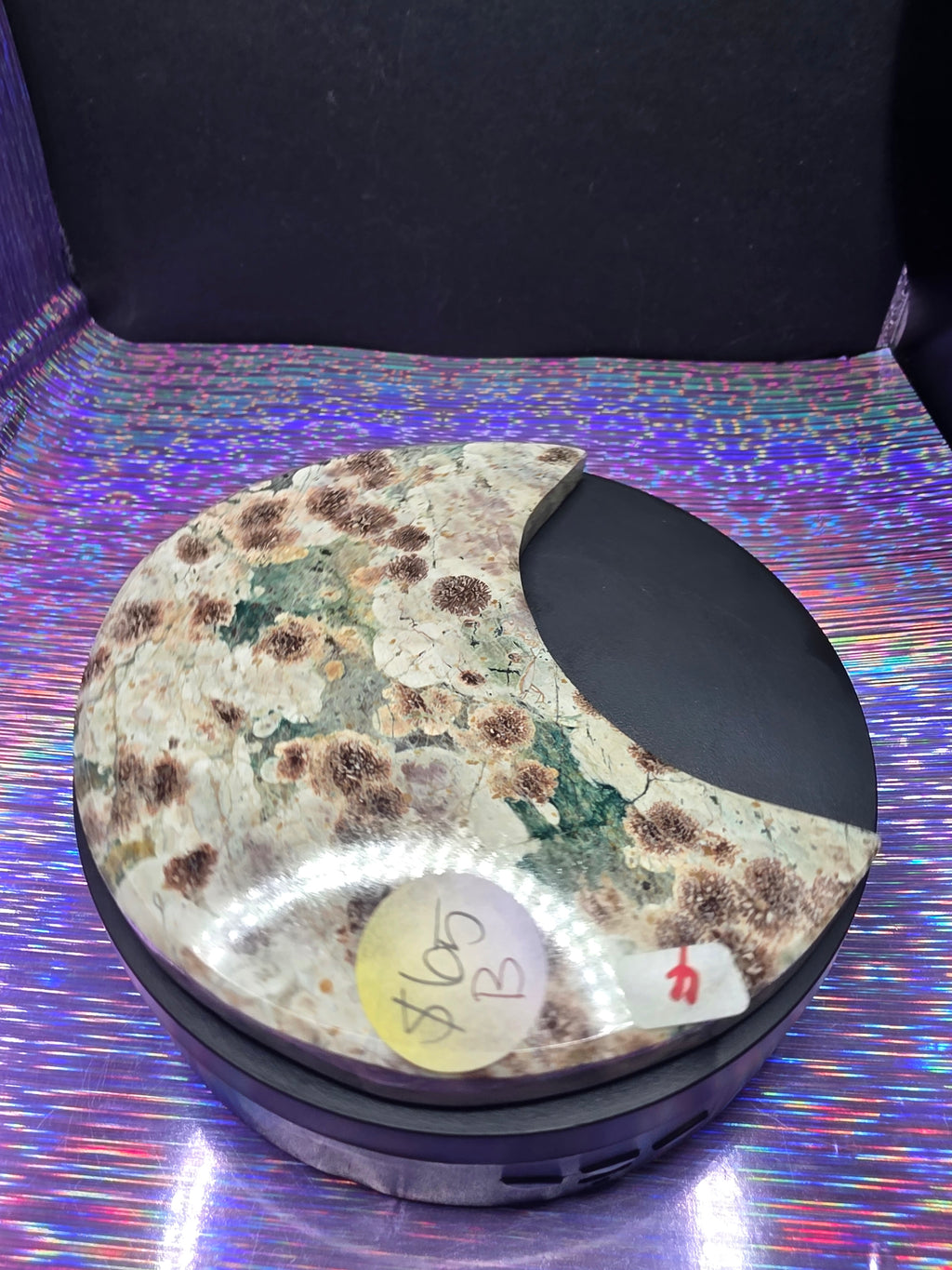 Sakura Jasper Moon B
