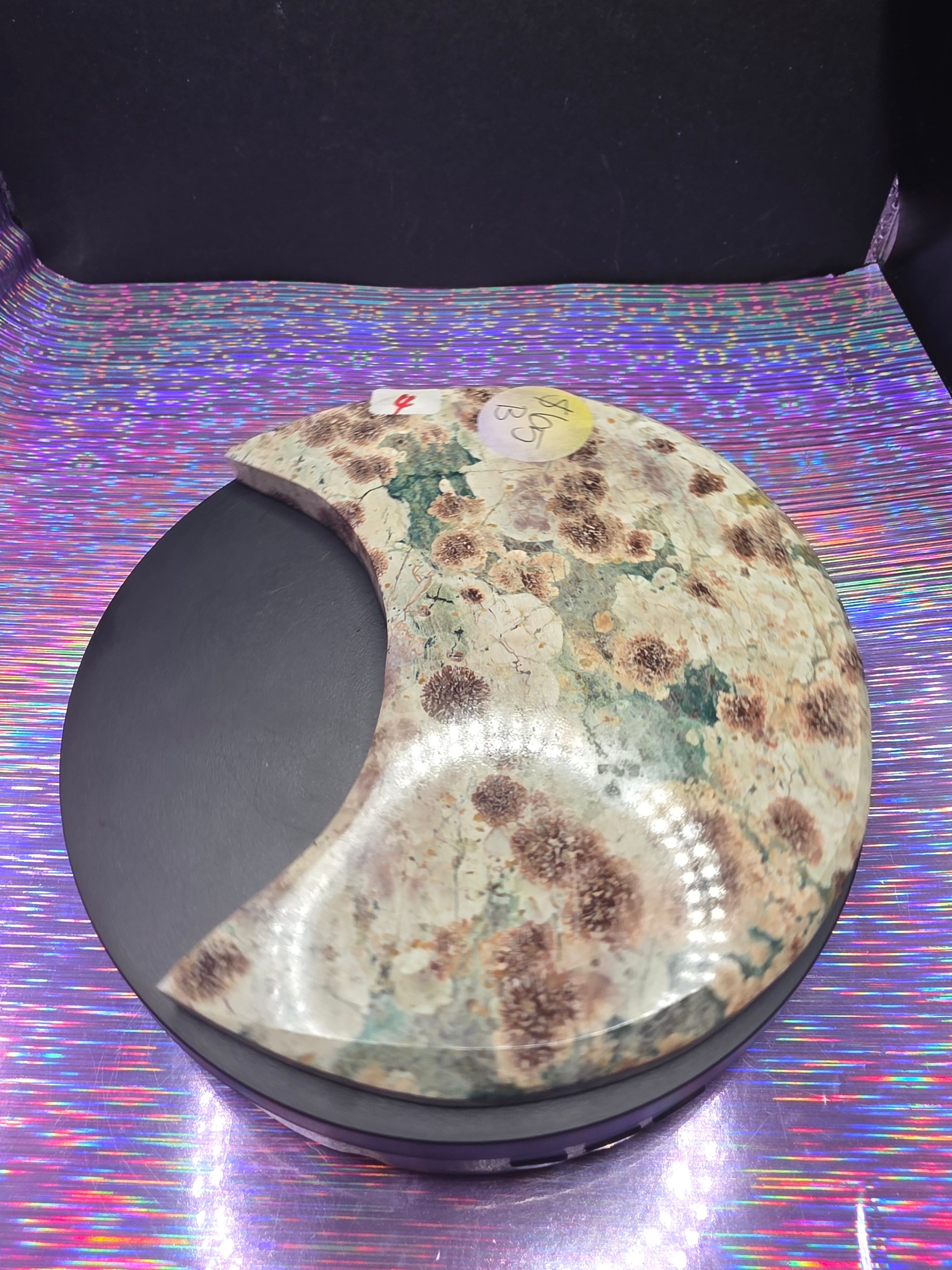 Sakura Jasper Moon B