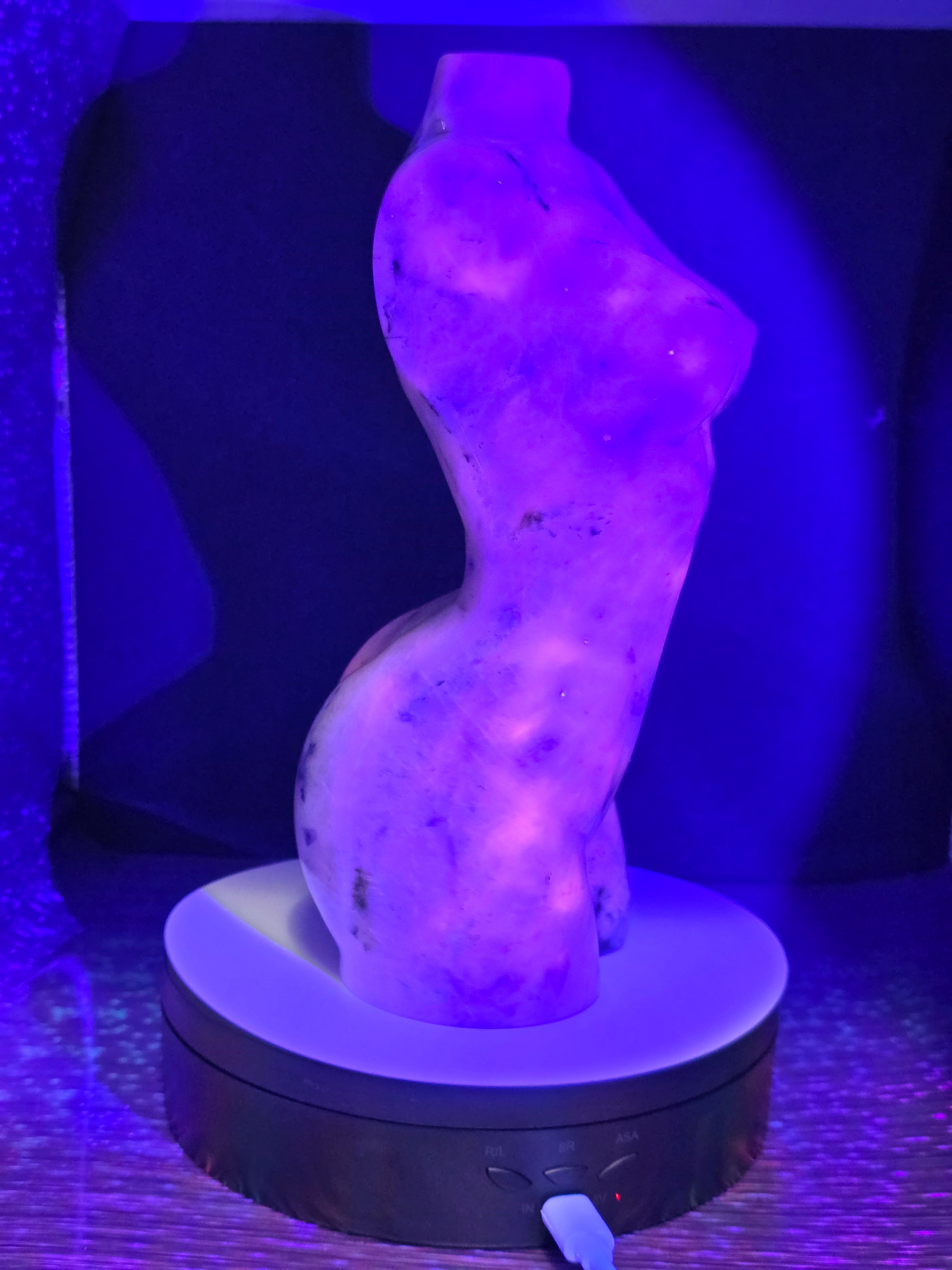 Large Sodalite Goddess Body