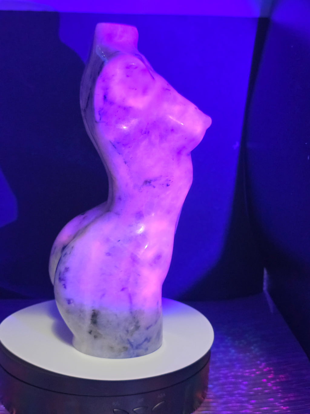 Large Sodalite Goddess Body