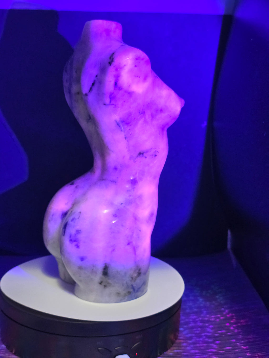 Large Sodalite Goddess Body
