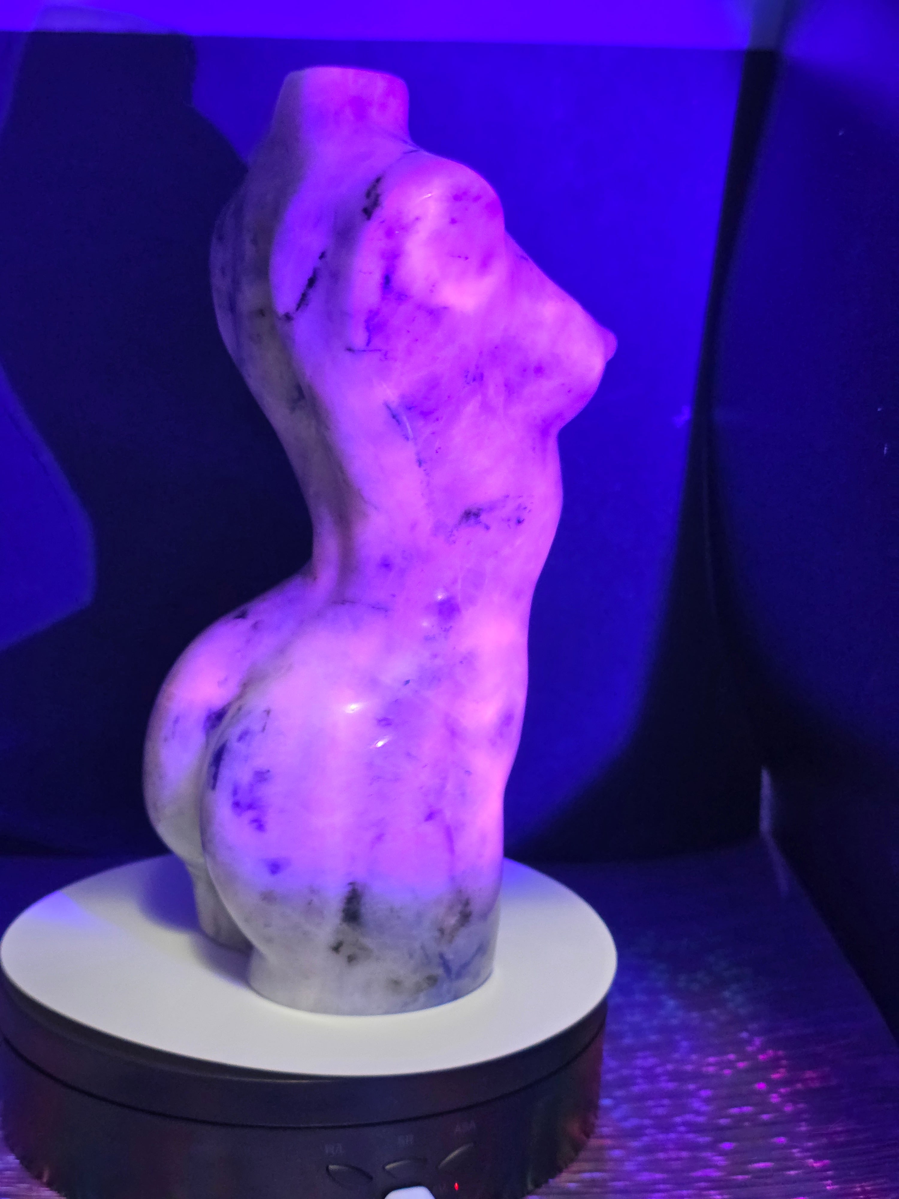 Large Sodalite Goddess Body