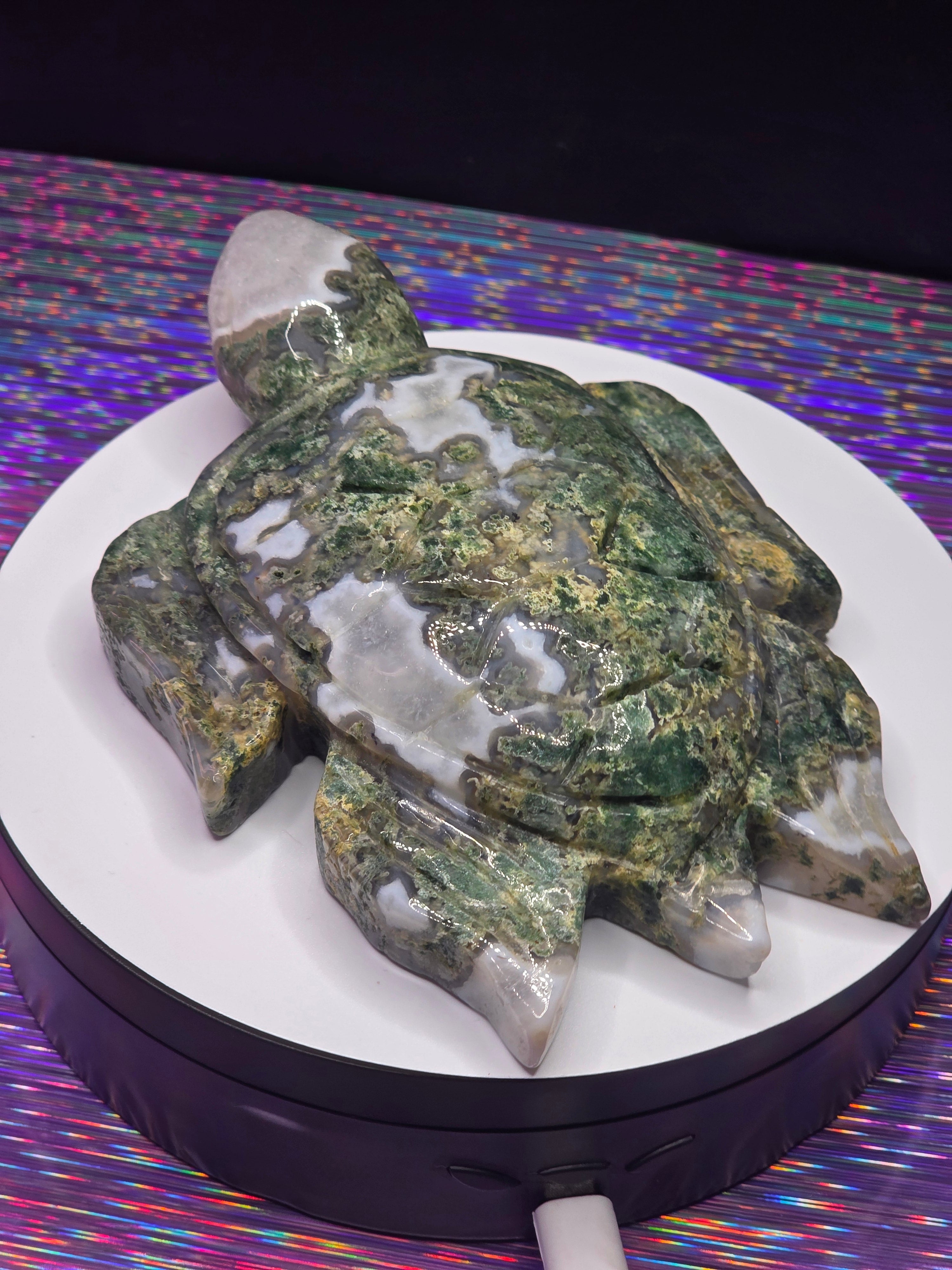 Large Moss Agate Turtle