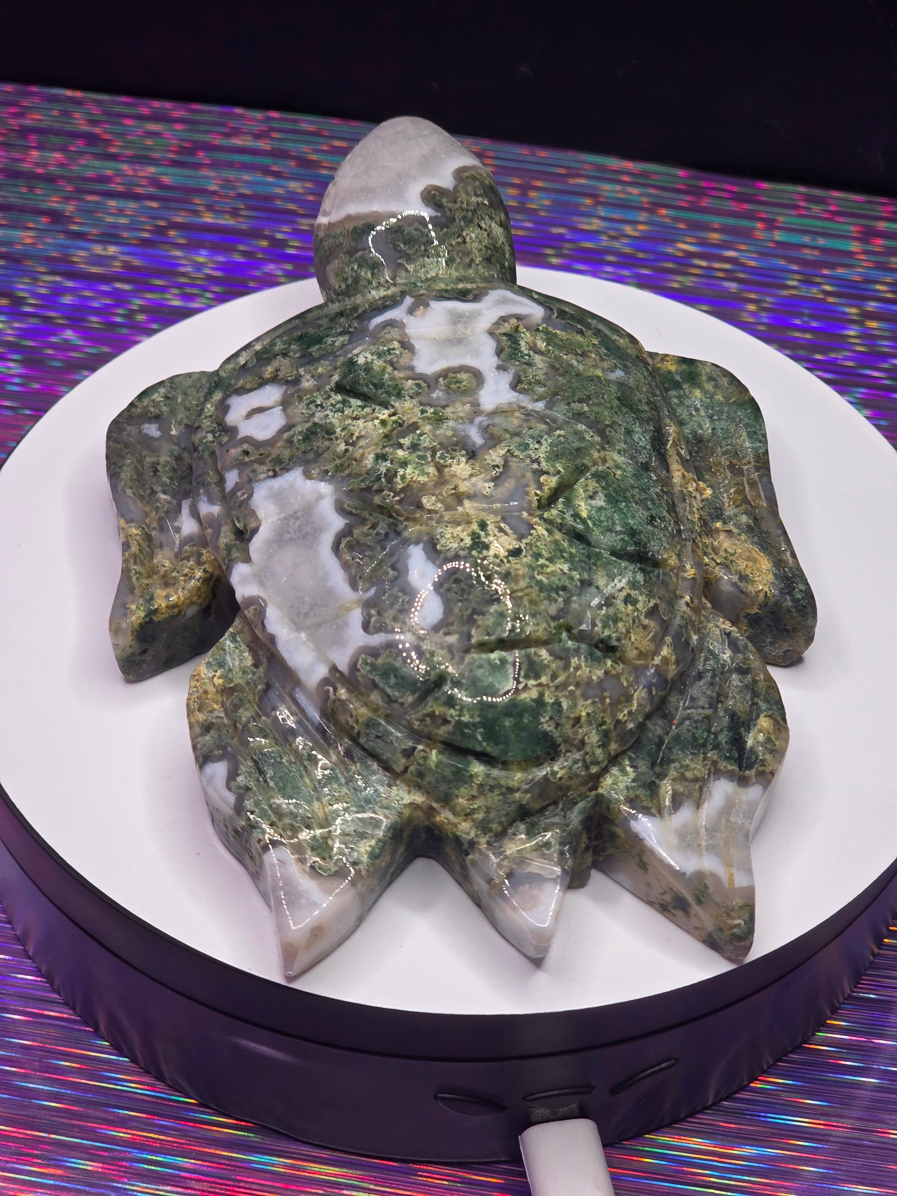 Large Moss Agate Turtle