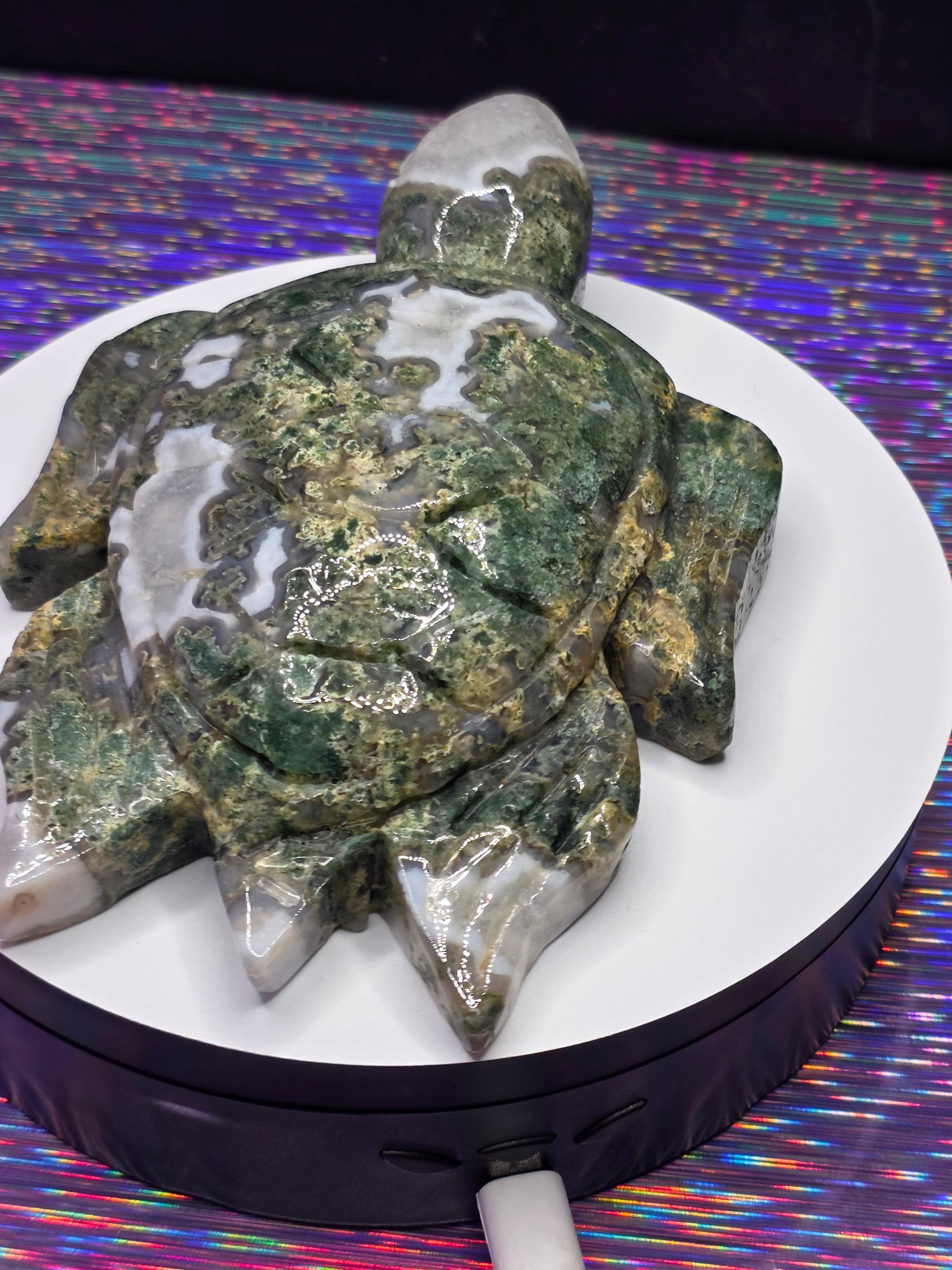 Large Moss Agate Turtle