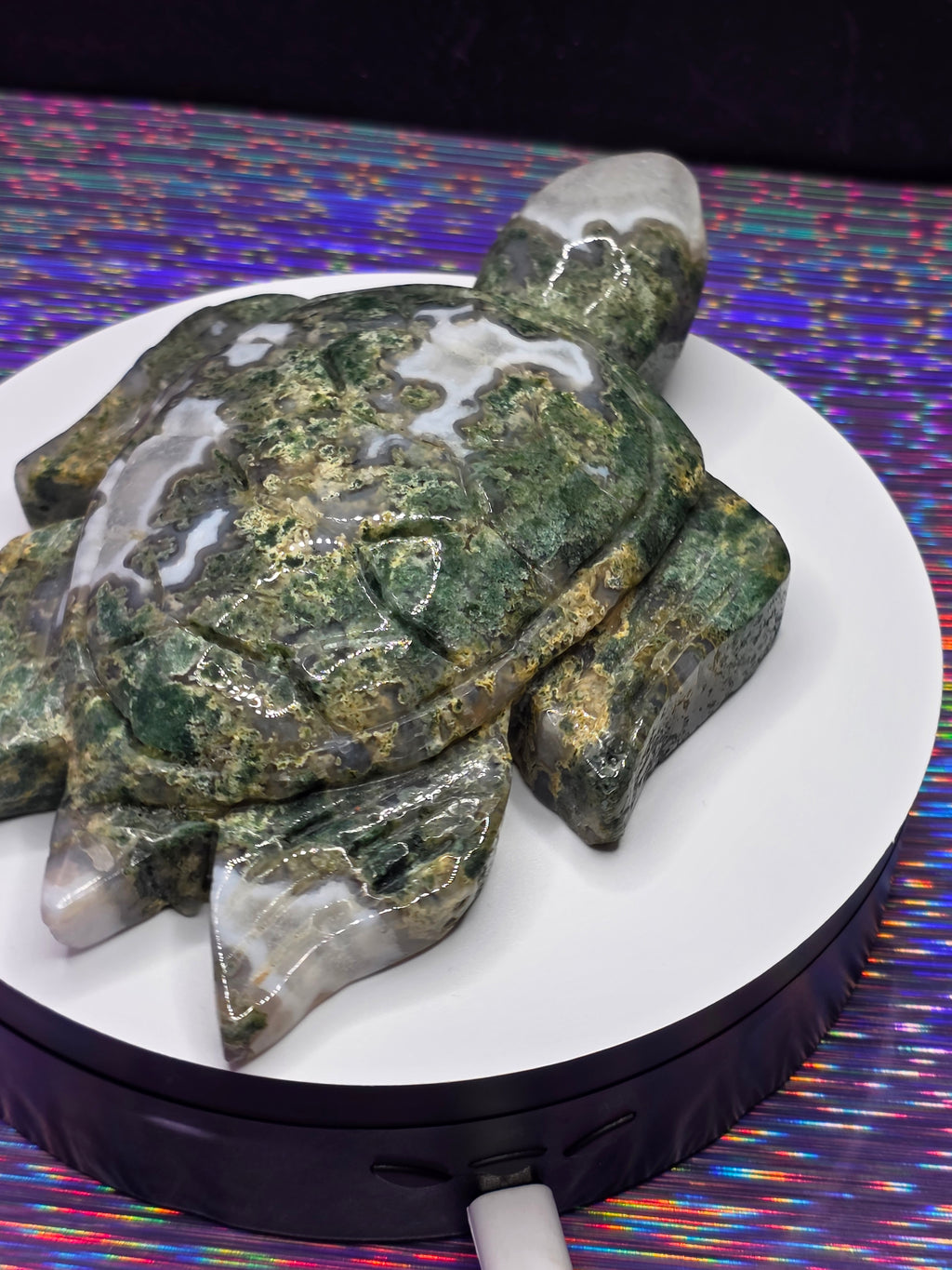 Large Moss Agate Turtle