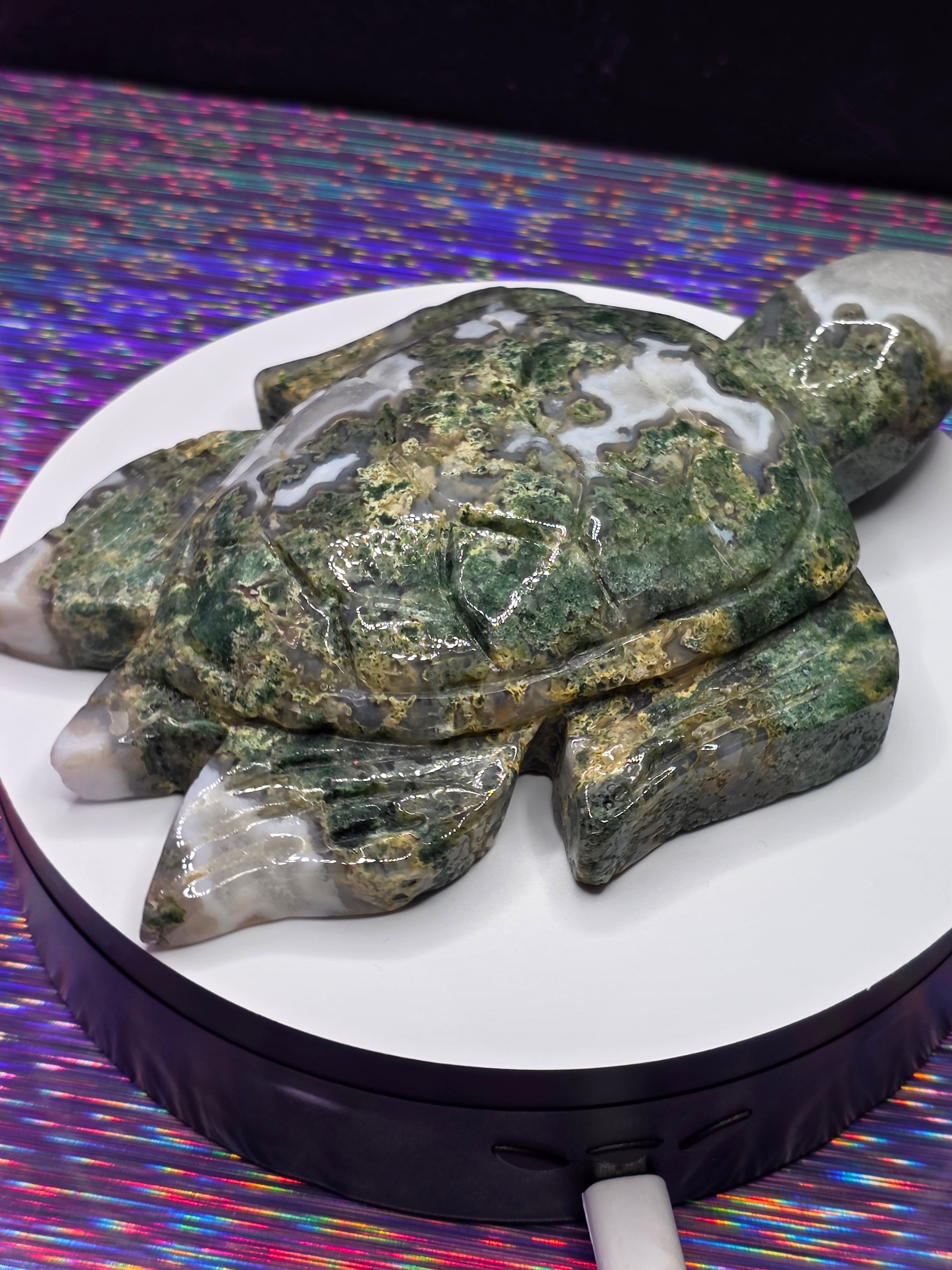 Large Moss Agate Turtle