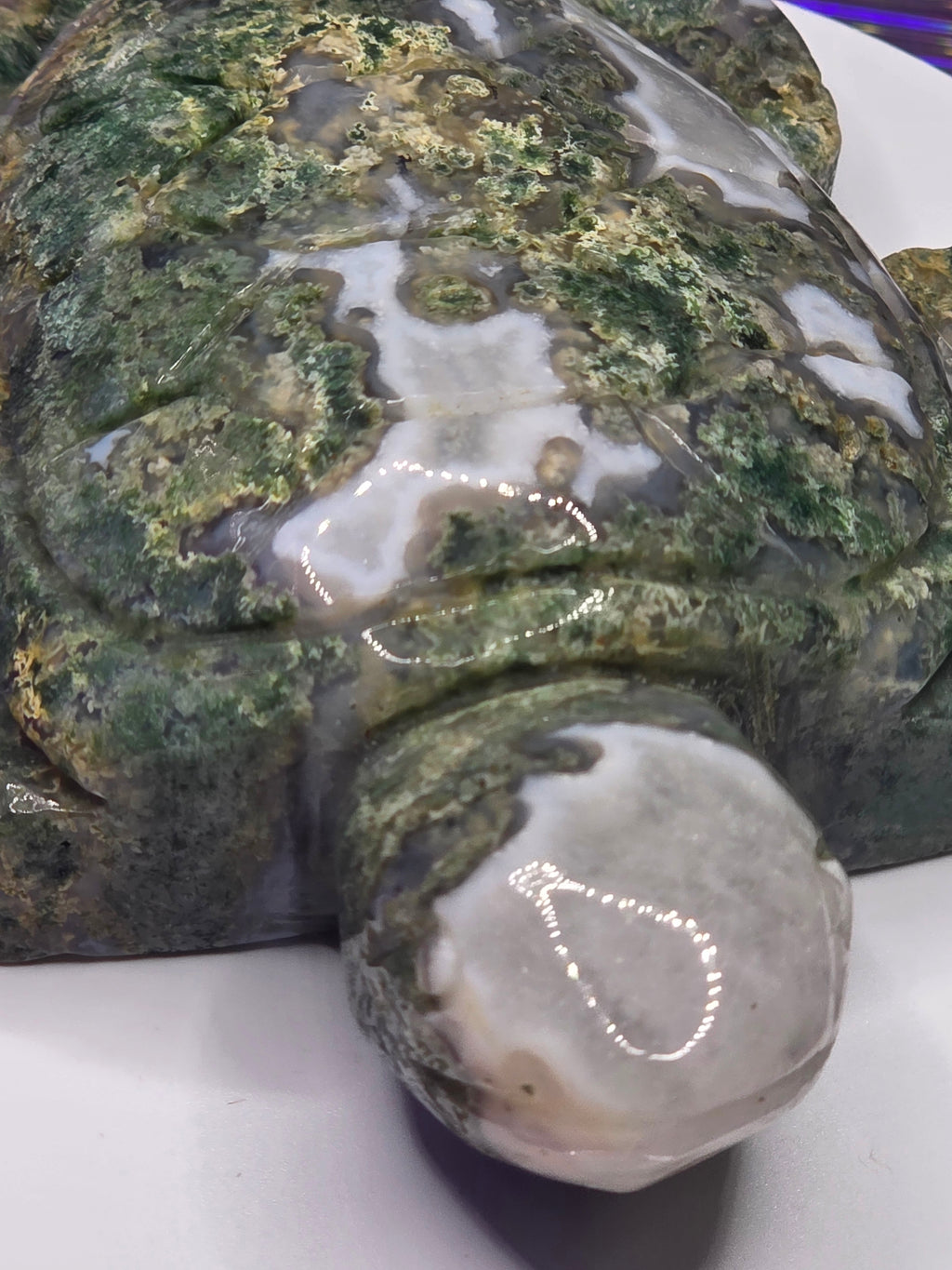Large Moss Agate Turtle