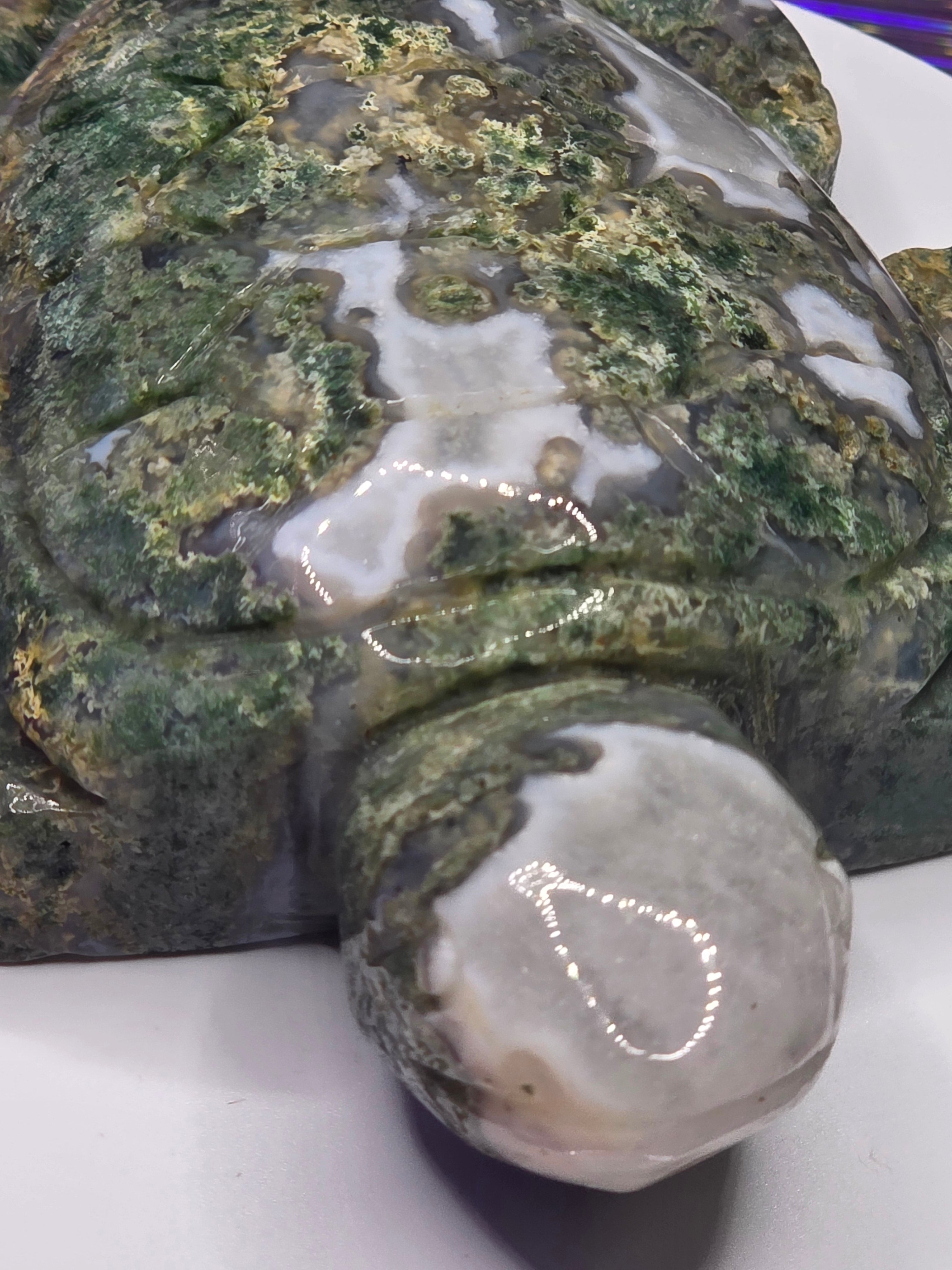 Large Moss Agate Turtle