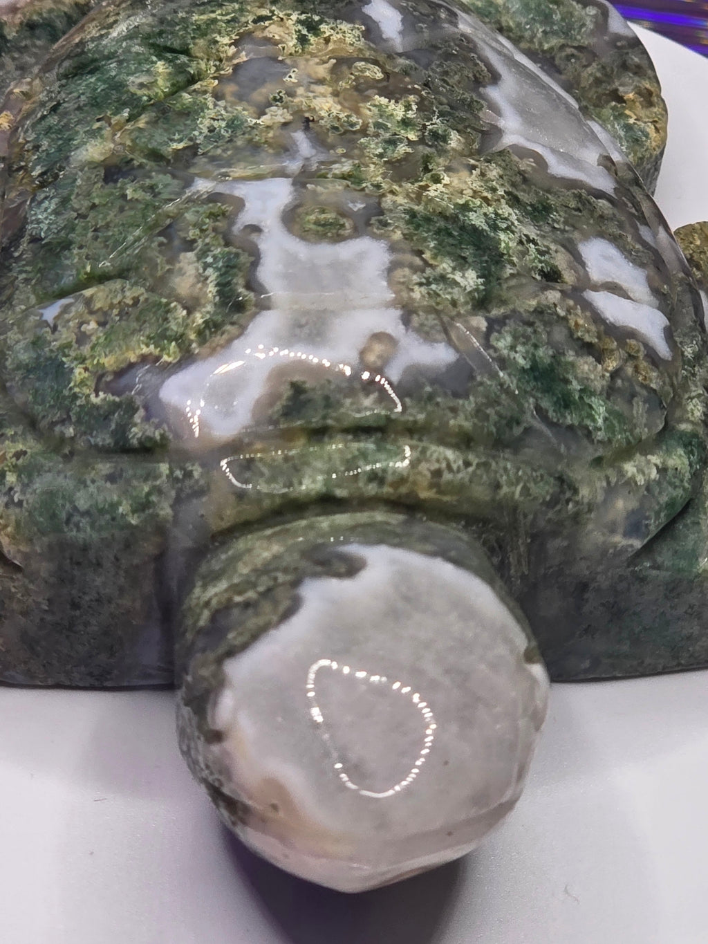 Large Moss Agate Turtle