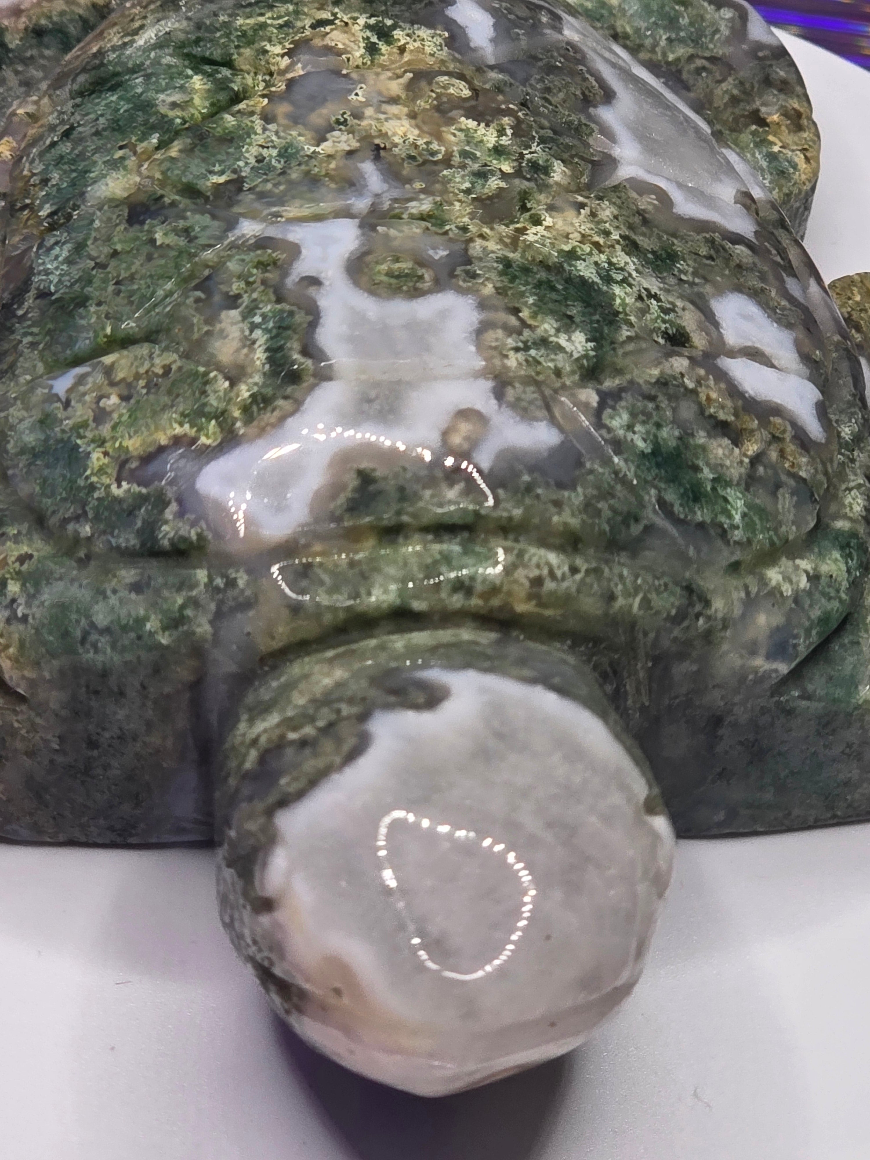 Large Moss Agate Turtle