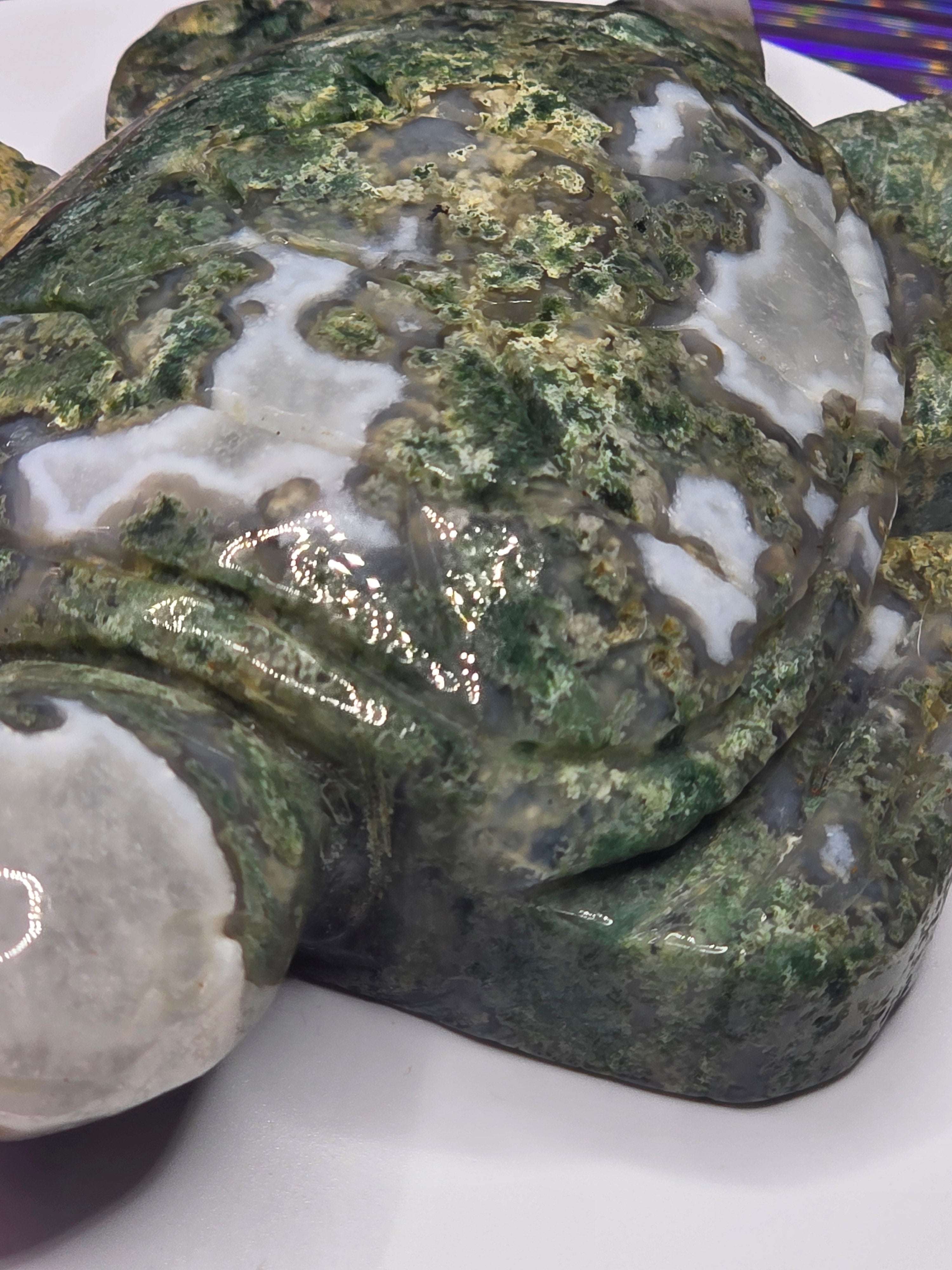 Large Moss Agate Turtle