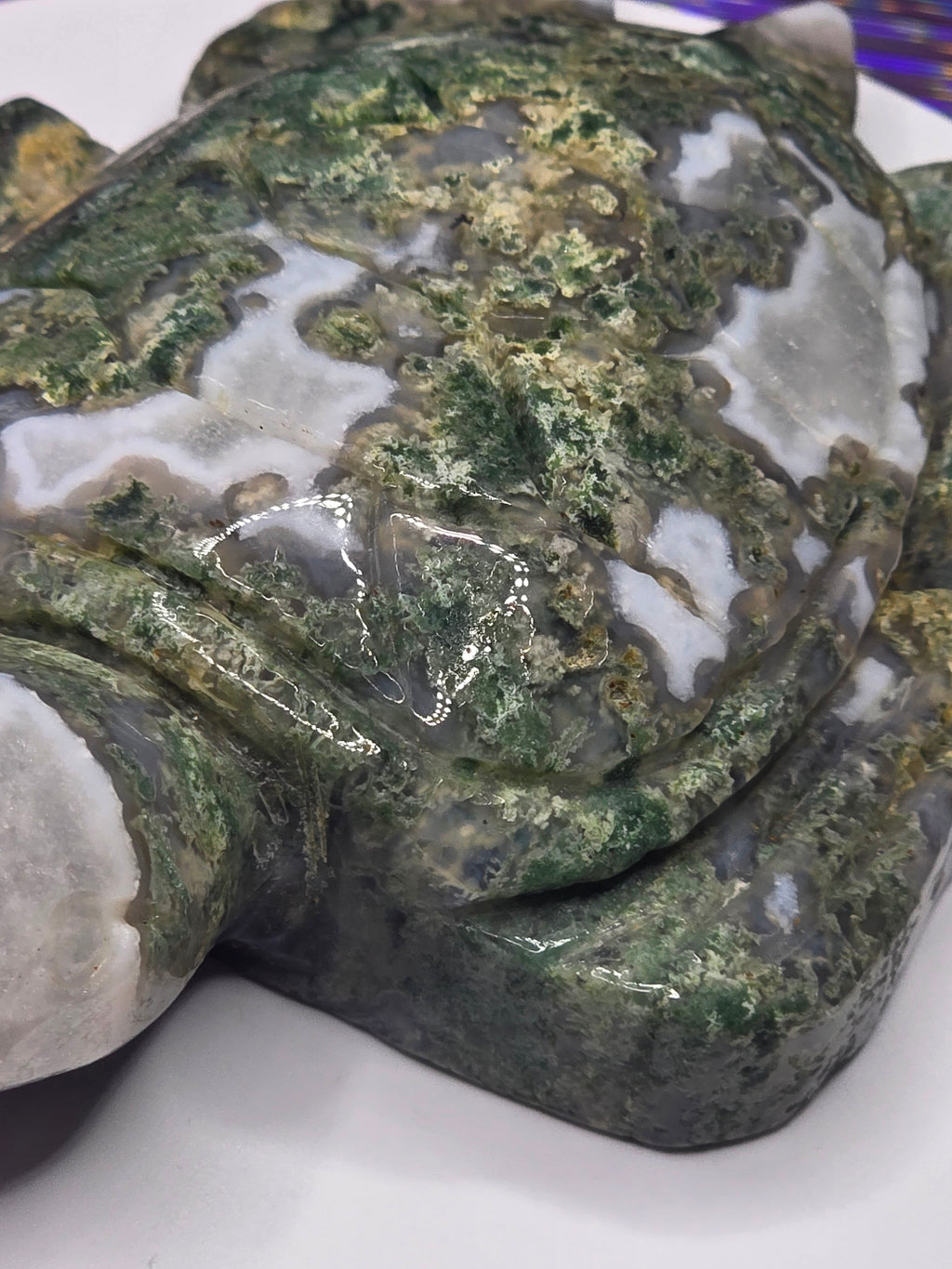 Large Moss Agate Turtle