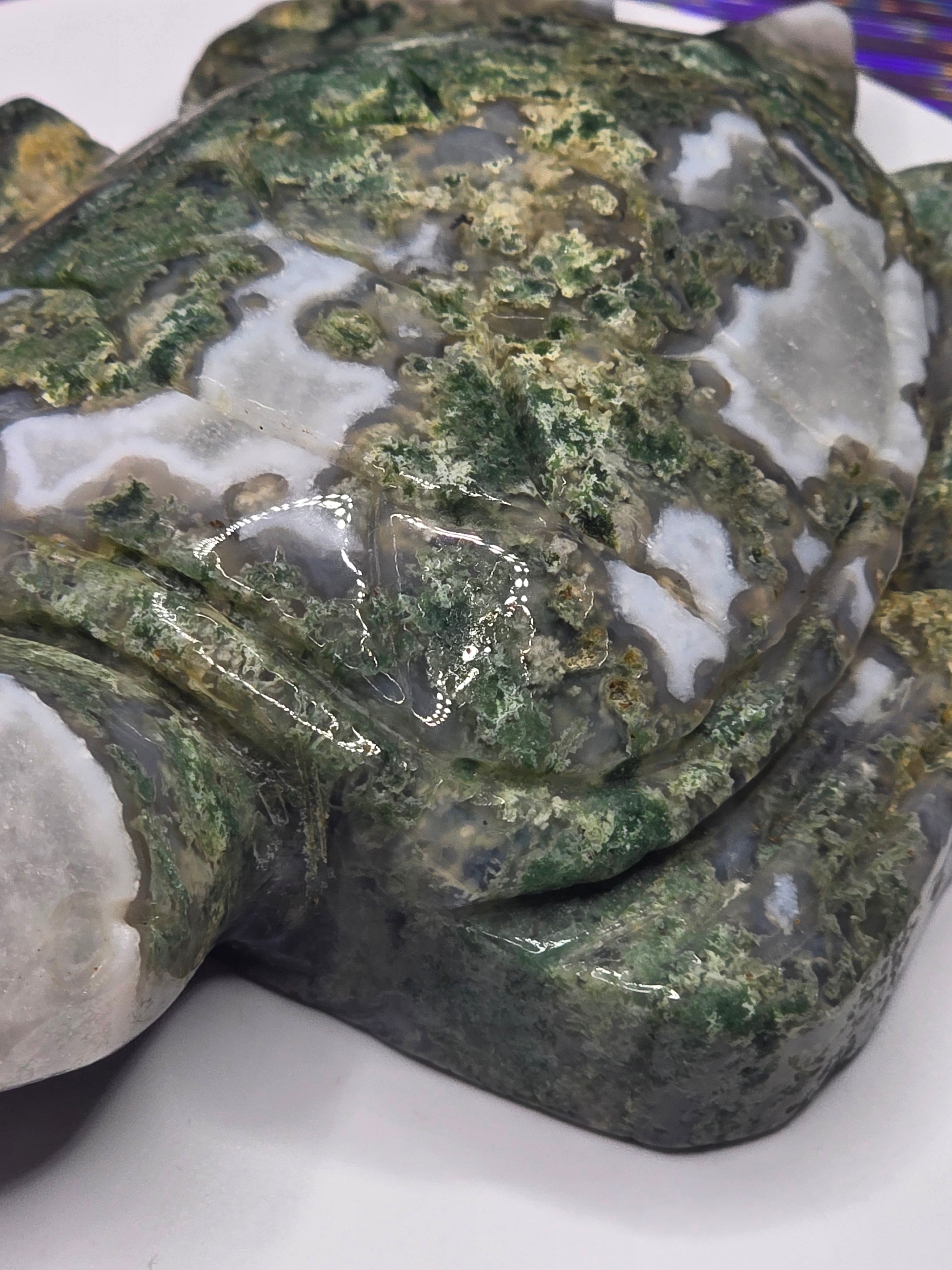 Large Moss Agate Turtle